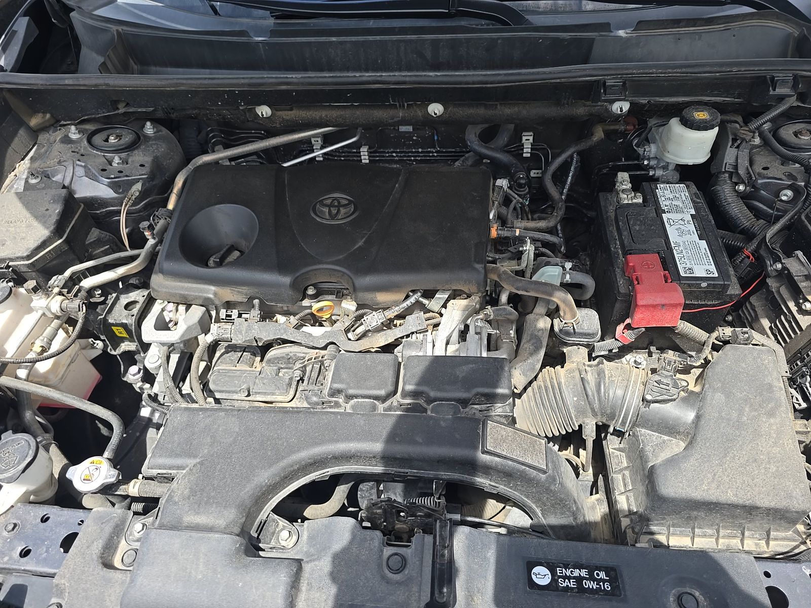 2021 Toyota RAV4 LE FWD