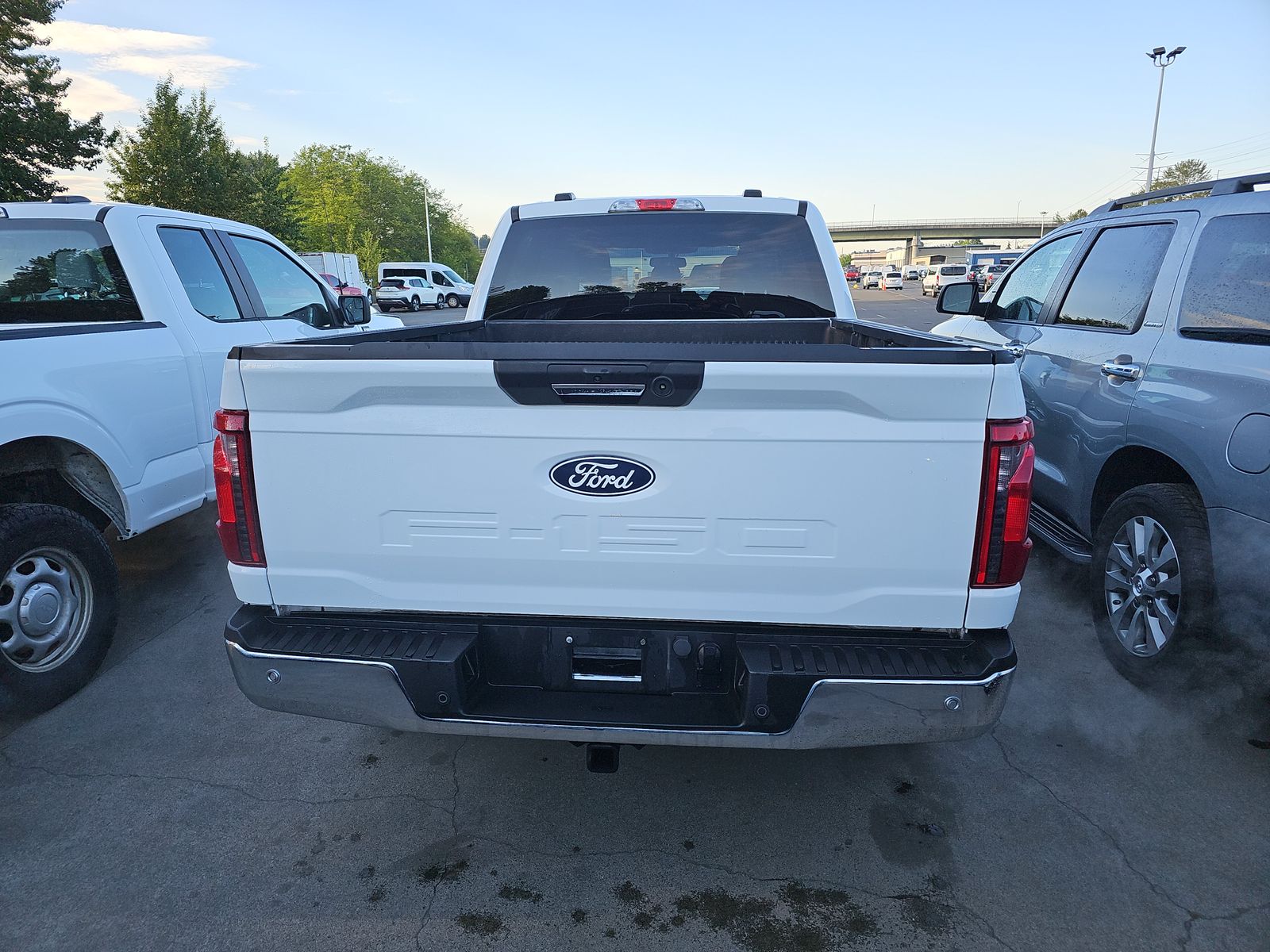 FORD F-150 - 6