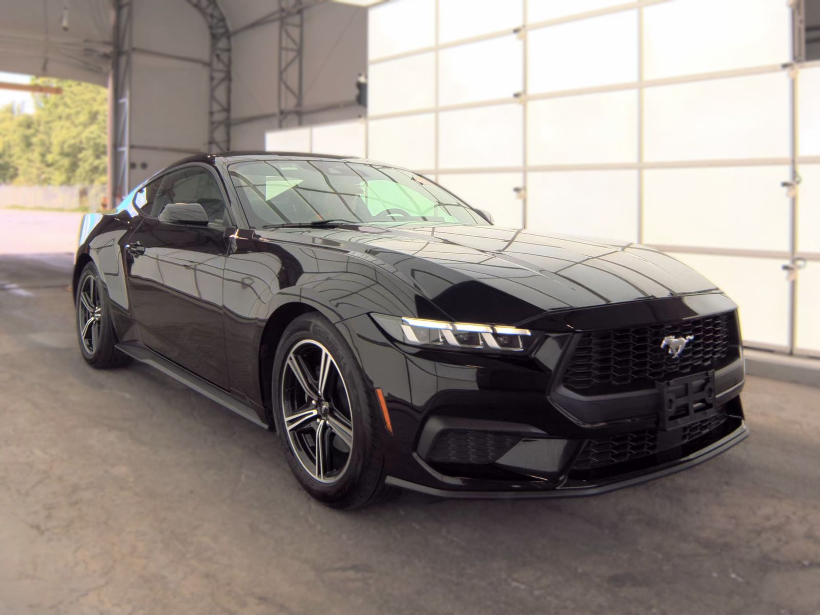 FORD MUSTANG - 5