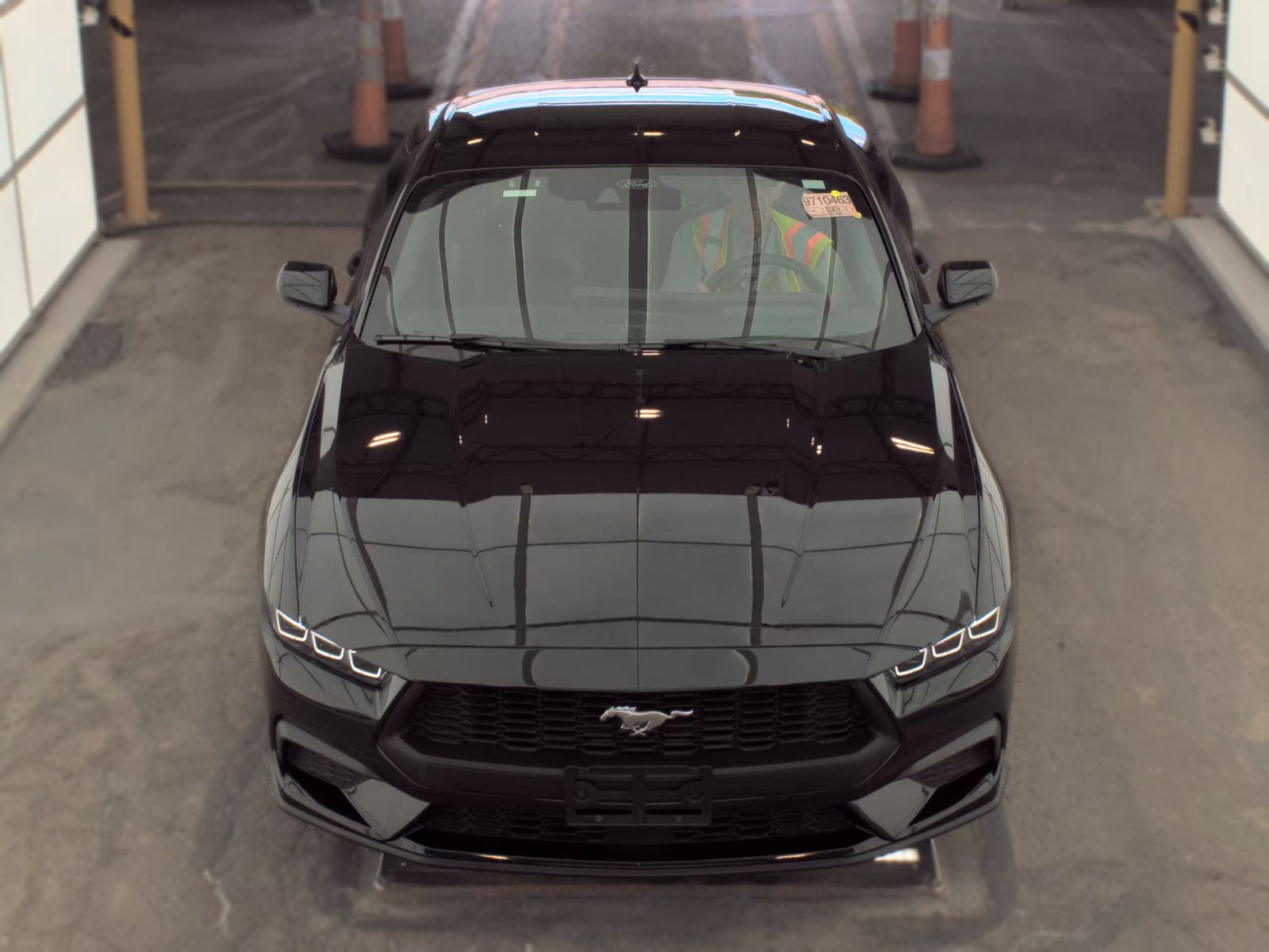 FORD MUSTANG - 3
