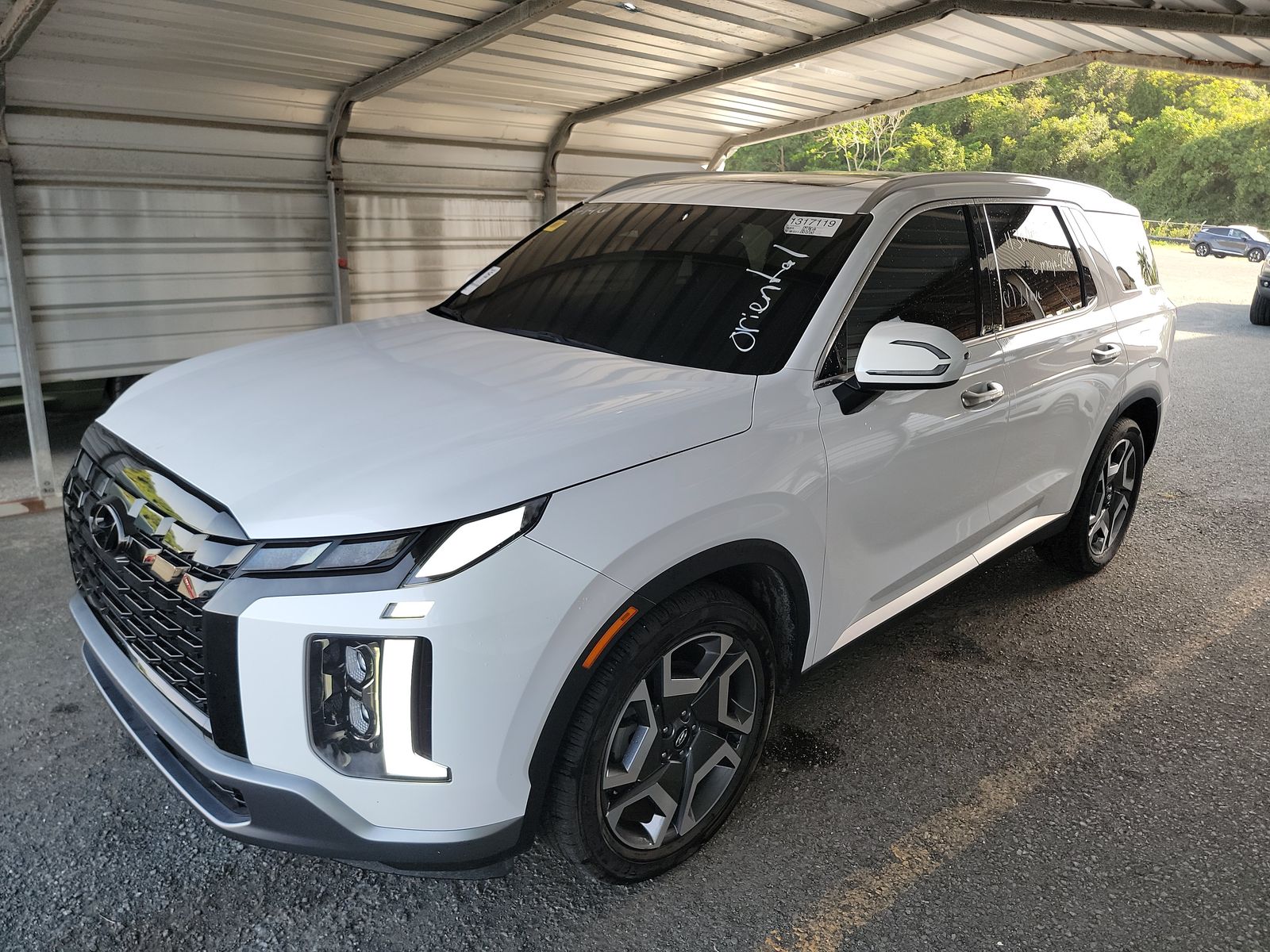 HYUNDAI PALISADE - 1