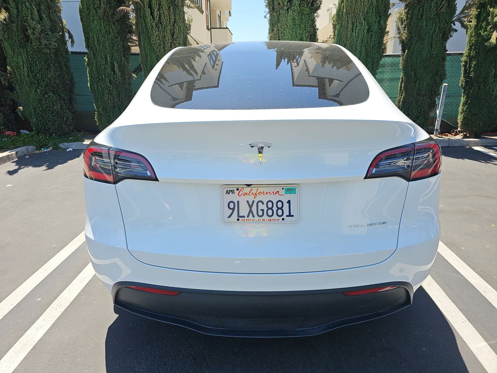 TESLA MODEL Y - 6