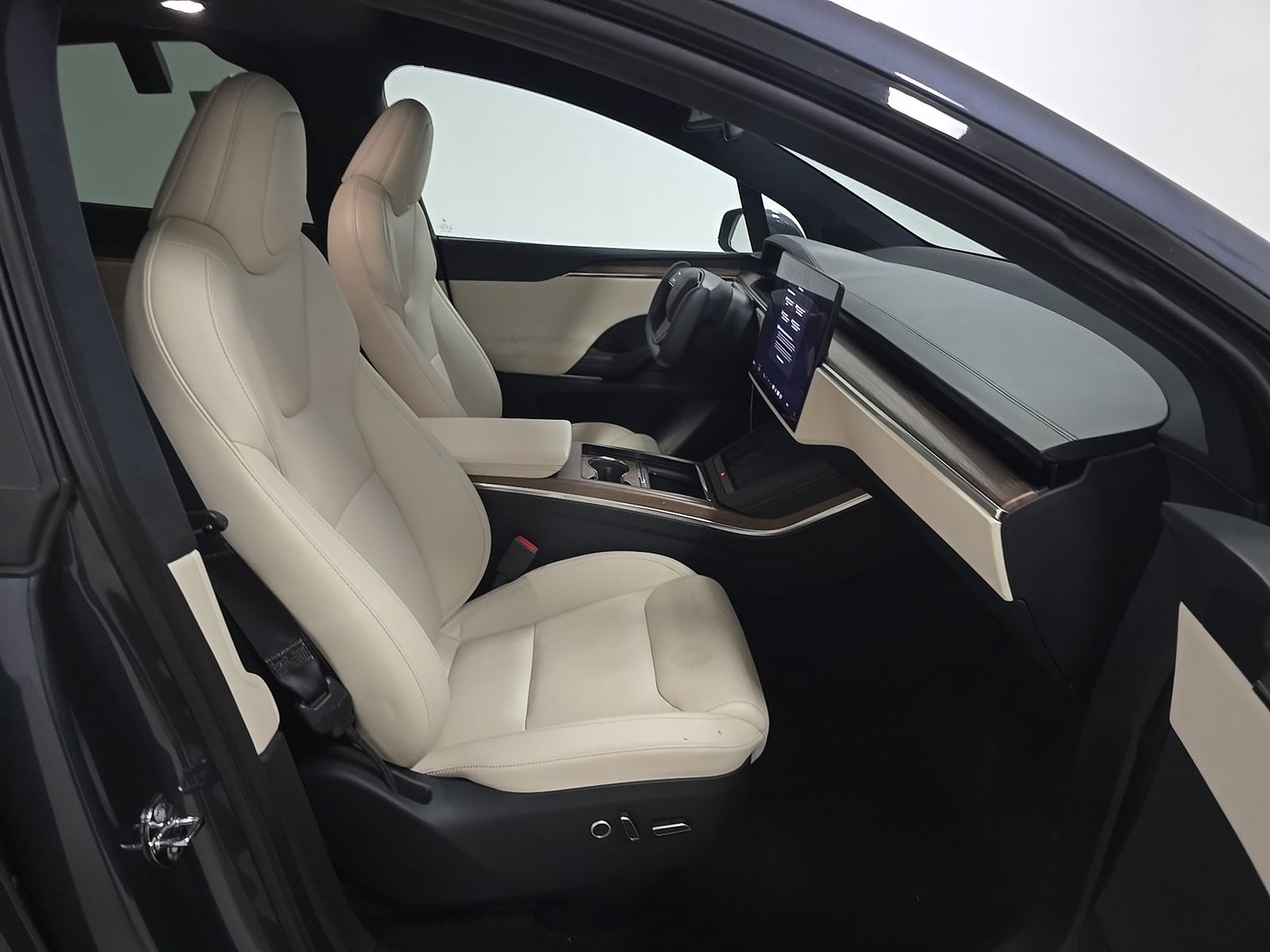 TESLA MODEL X - 9