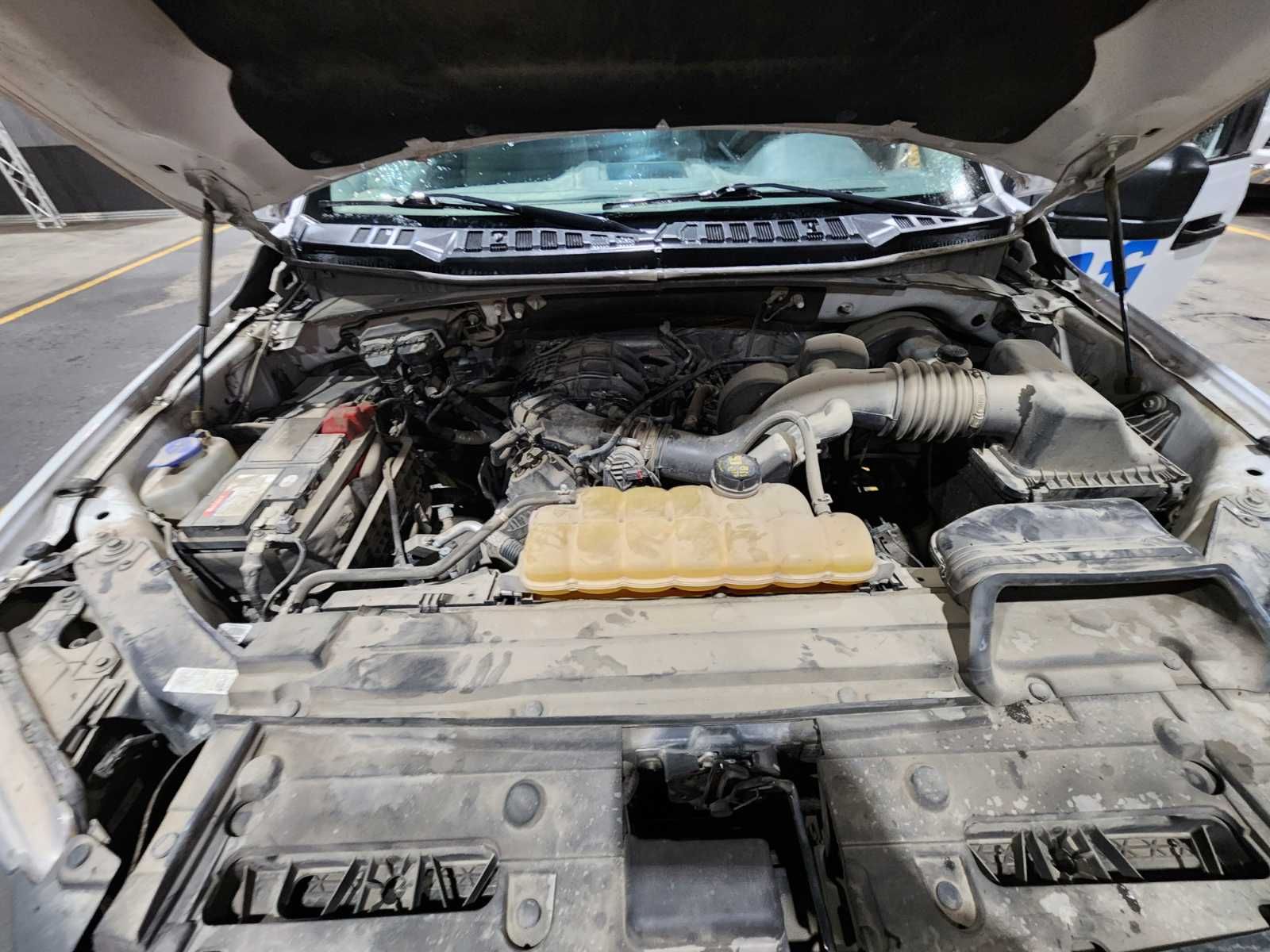 FORD F-150 - 5