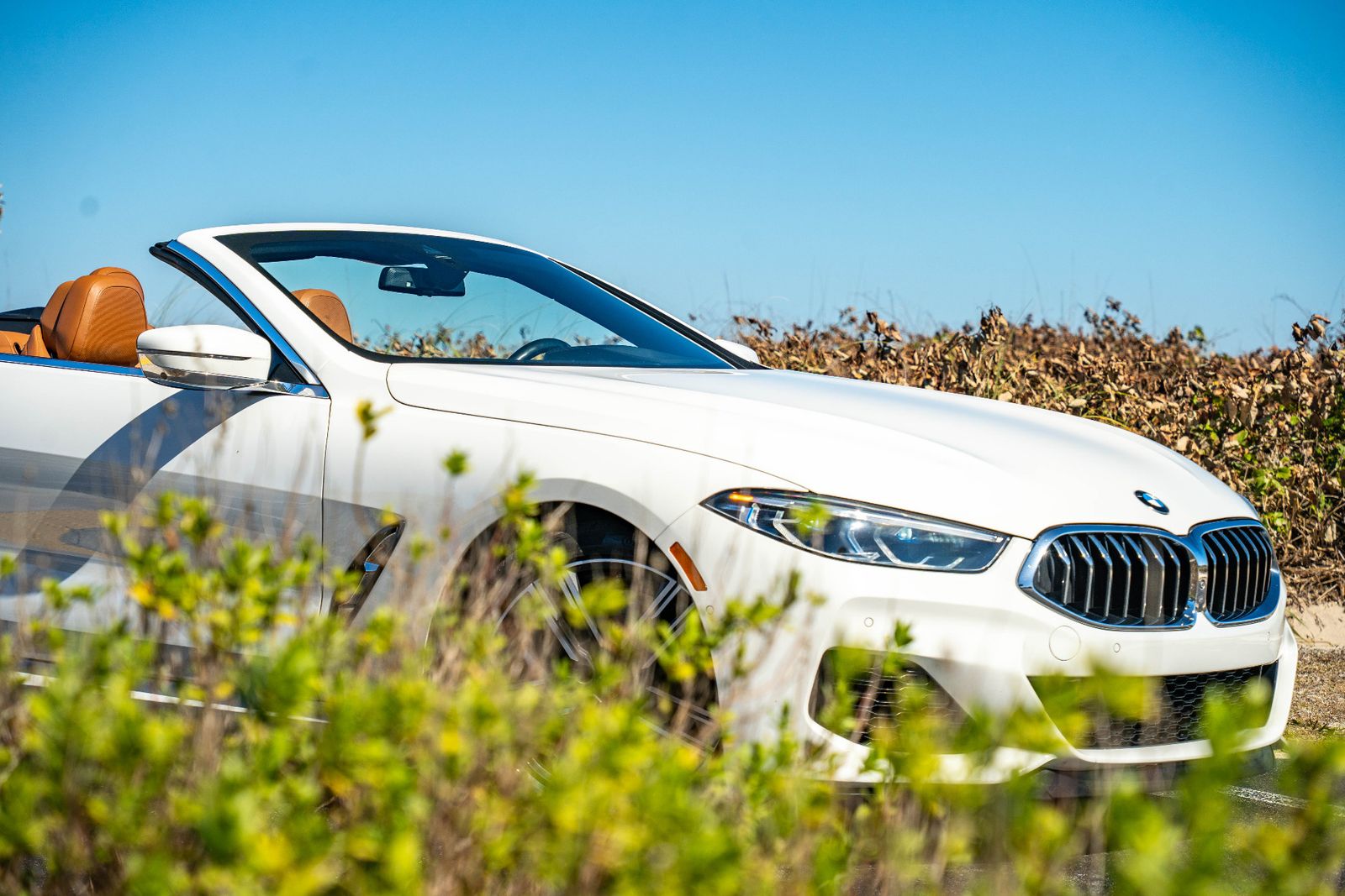 2019 BMW 8 Series M850i xDrive AWD
