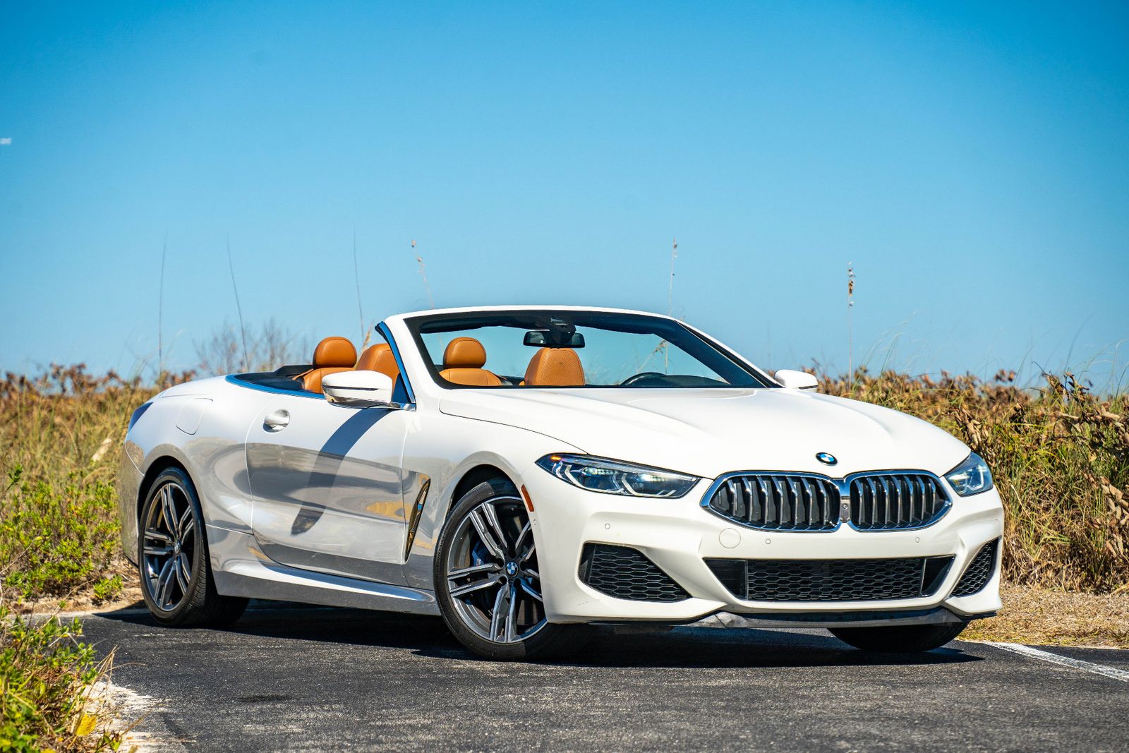 2019 BMW 8 Series M850i xDrive AWD