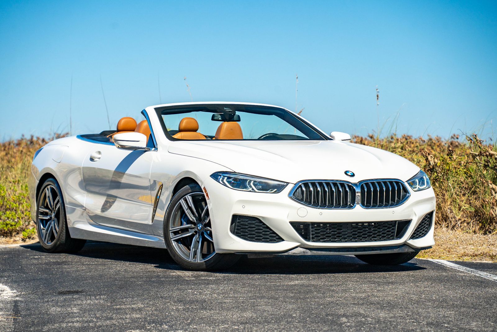 2019 BMW 8 Series M850i xDrive AWD