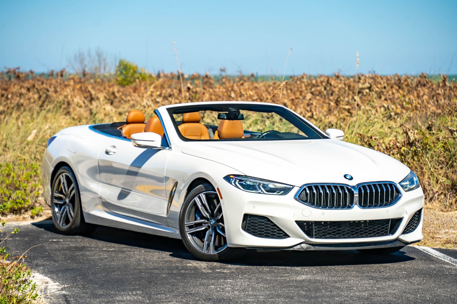 2019 BMW 8 Series M850i xDrive AWD