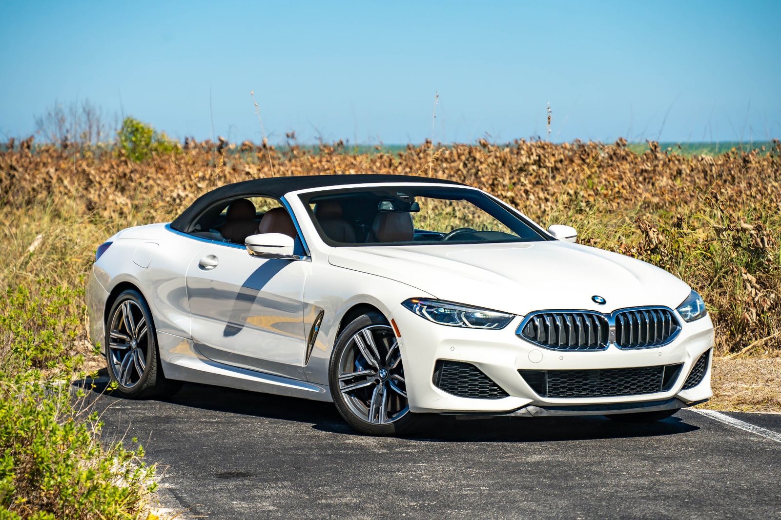 2019 BMW 8 Series M850i xDrive AWD