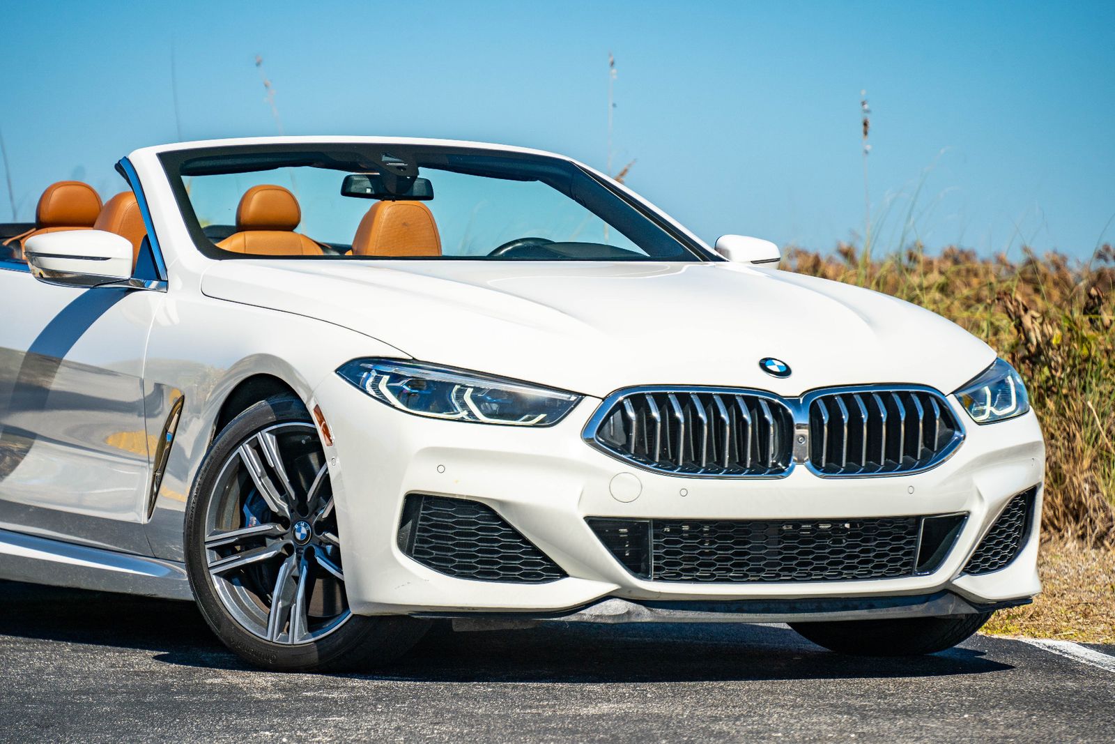 2019 BMW 8 Series M850i xDrive AWD