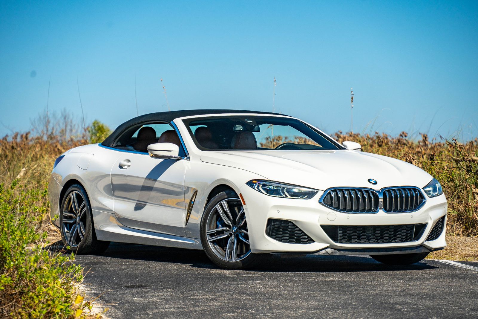 2019 BMW 8 Series M850i xDrive AWD
