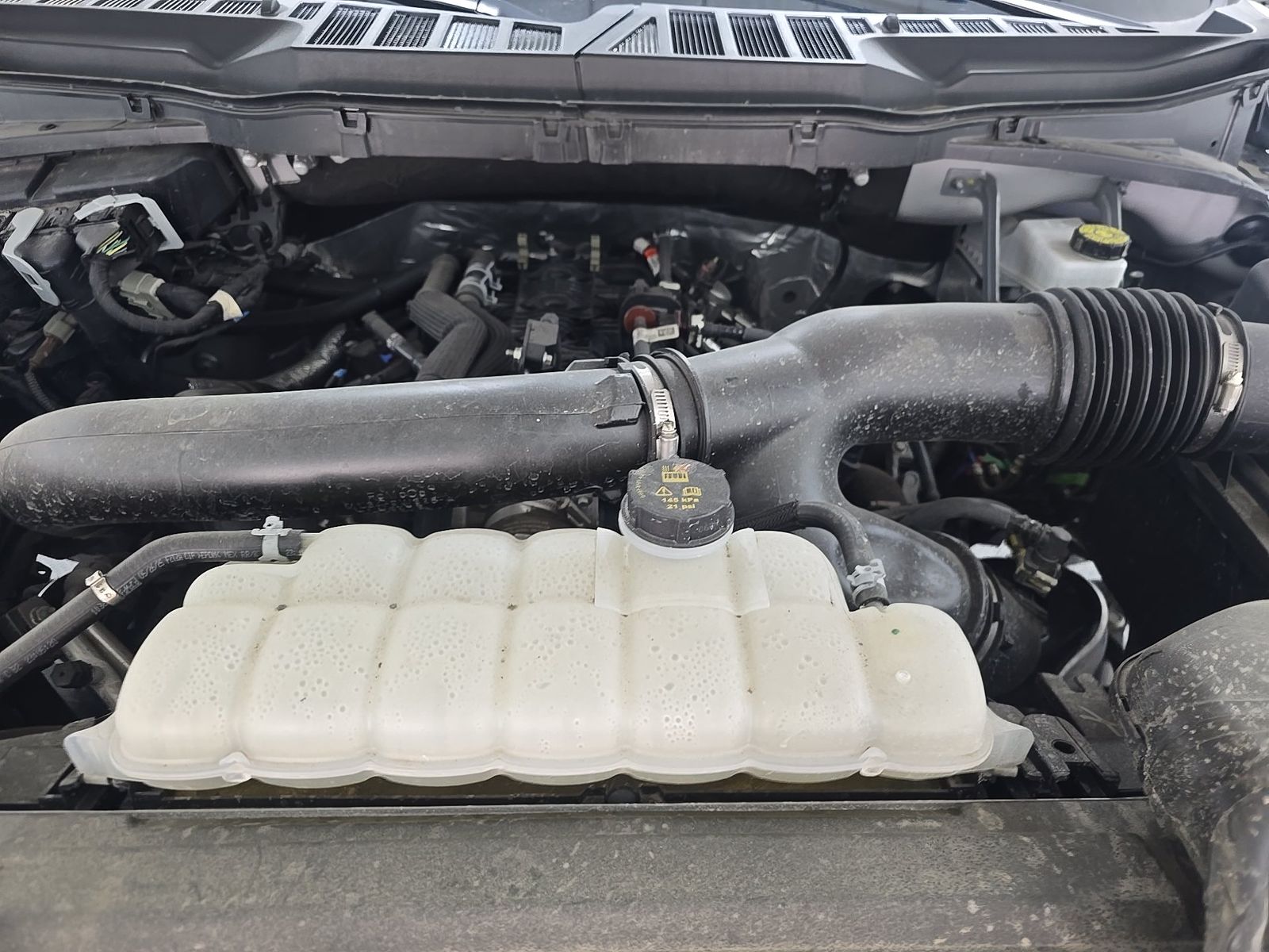 2025 Ford F-150 XLT AWD