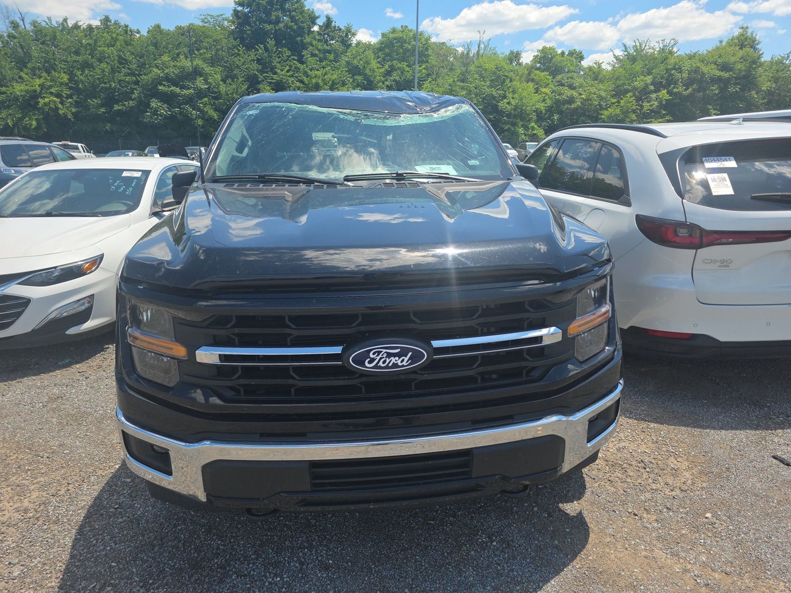 FORD F-150 - 3