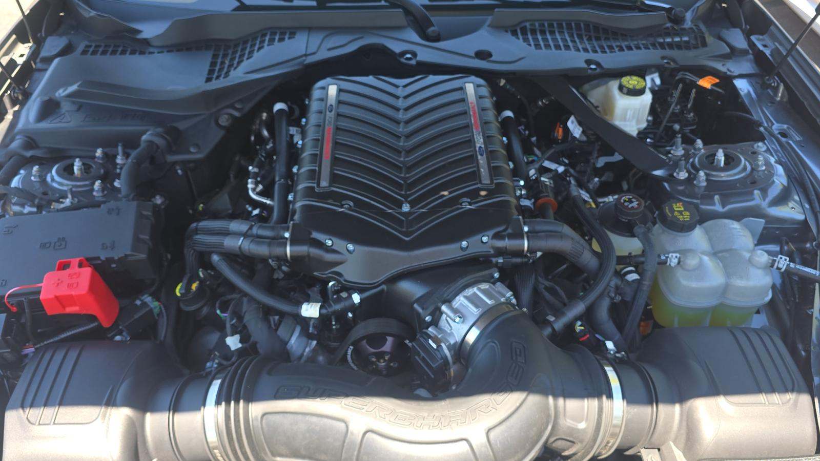 2025 Ford Mustang GT Premium RWD