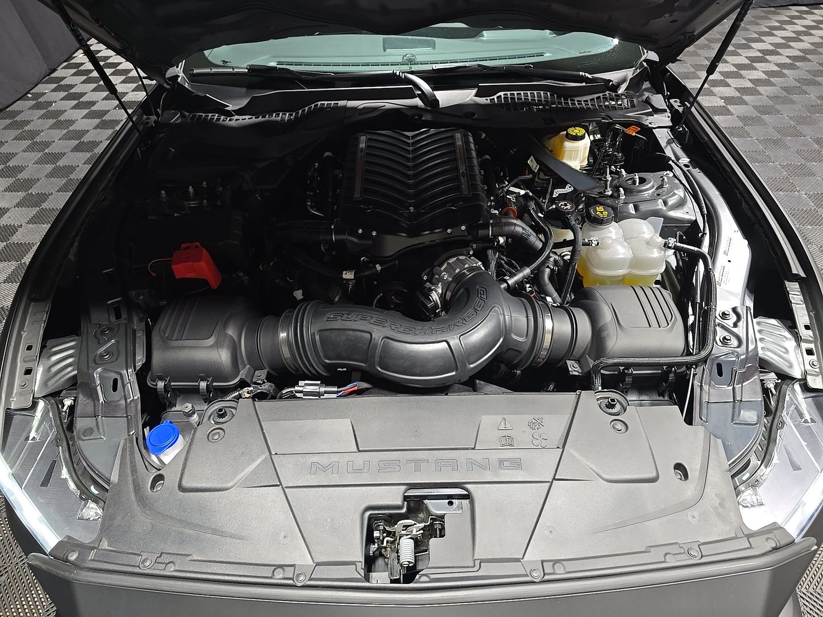 2025 Ford Mustang GT Premium RWD