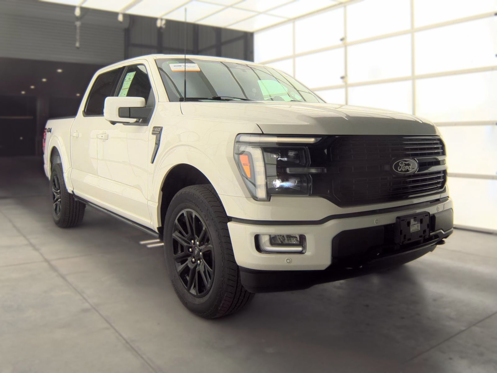FORD F-150 - 5
