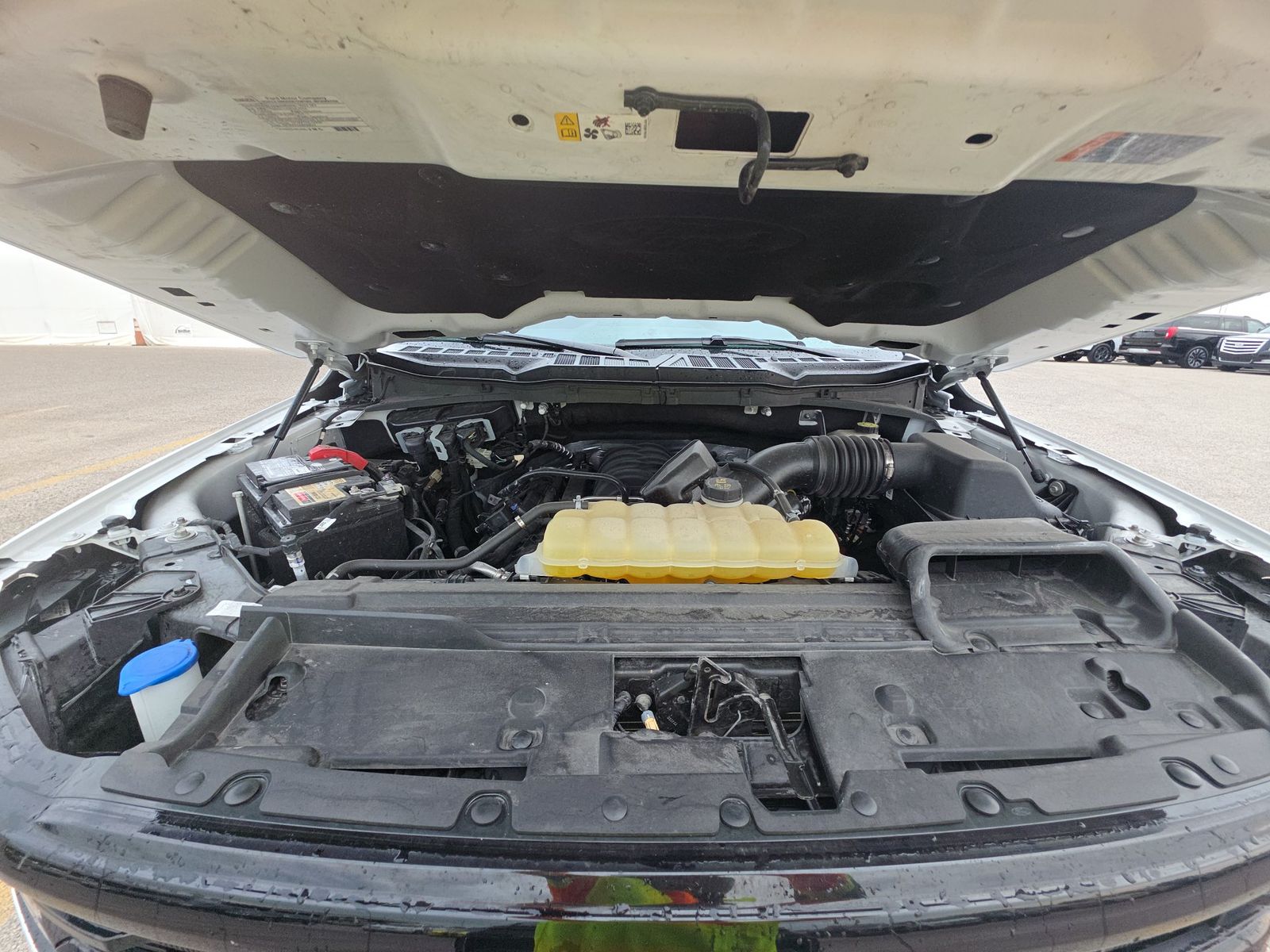 2024 Ford F-150 XLT FWD