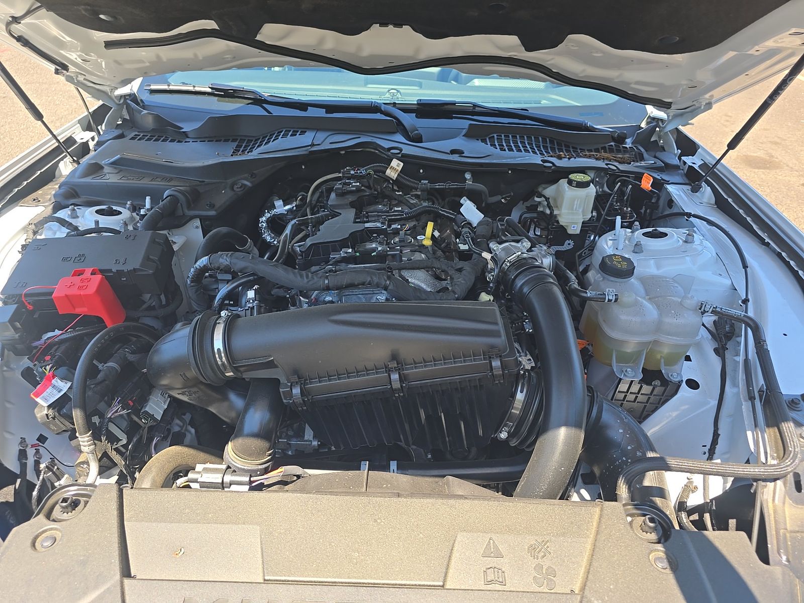 2026 Ford Mustang EcoBoost Premium RWD