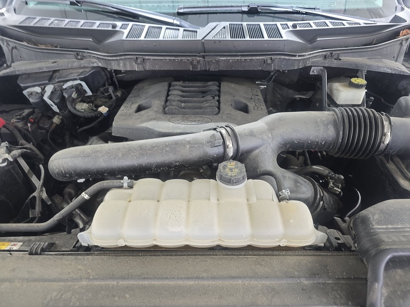 2023 Ford F-150 XLT AWD