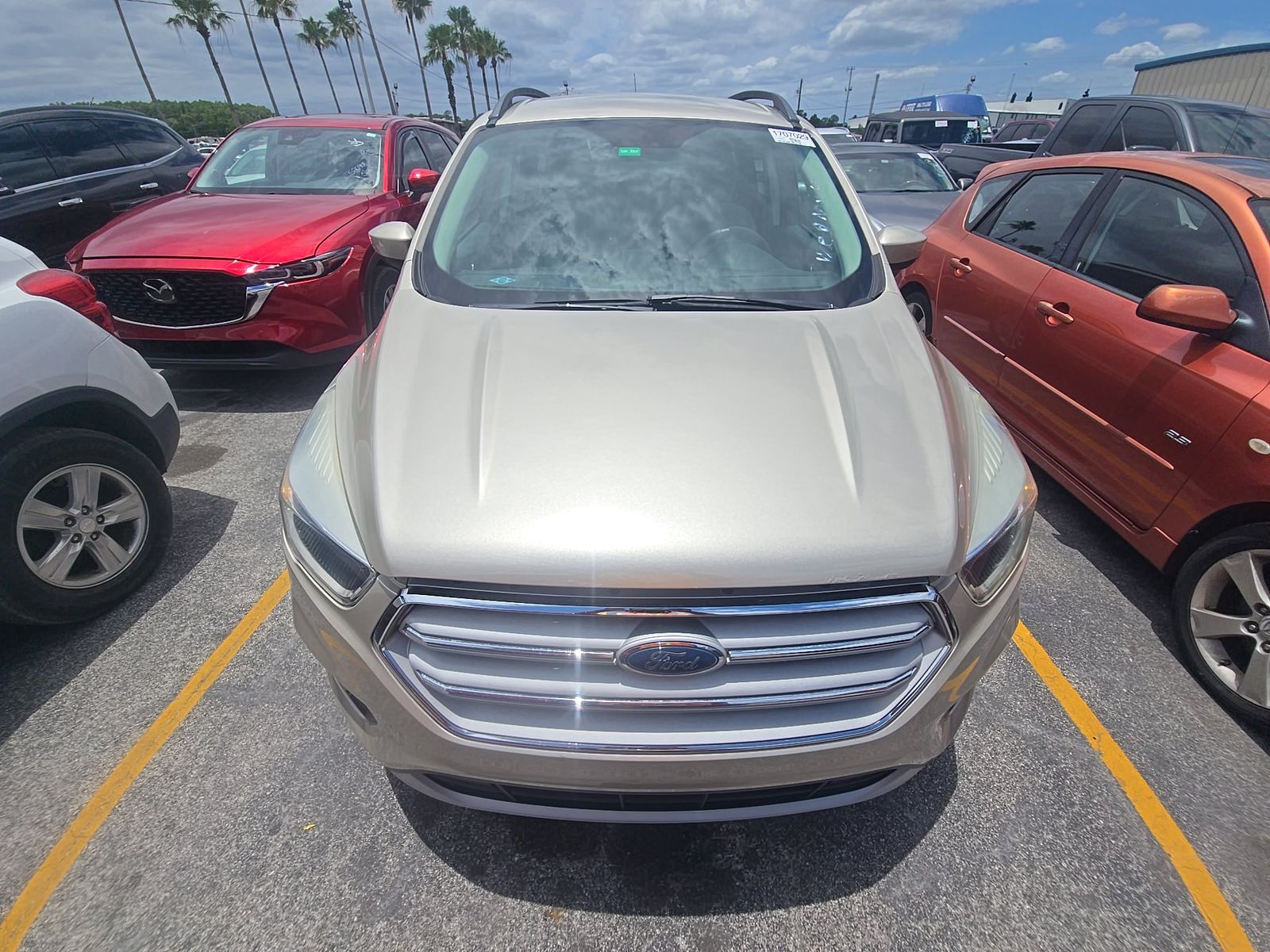 FORD ESCAPE - 3