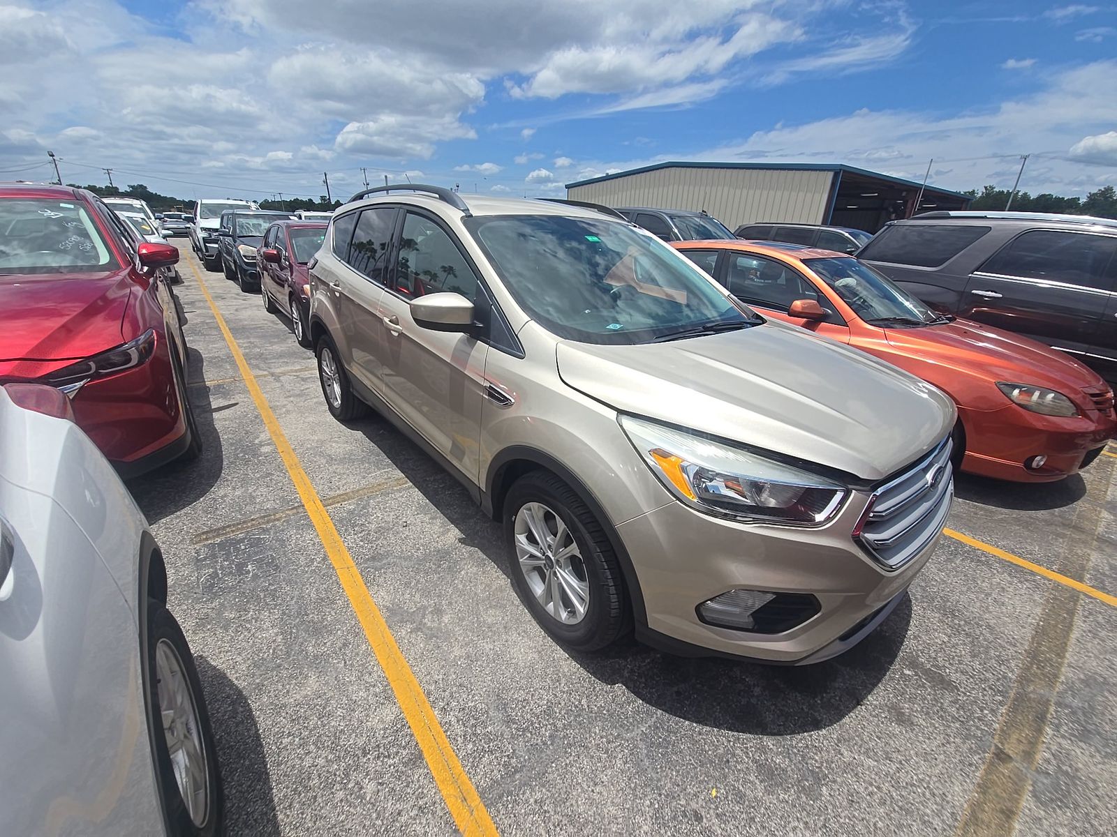 FORD ESCAPE - 1