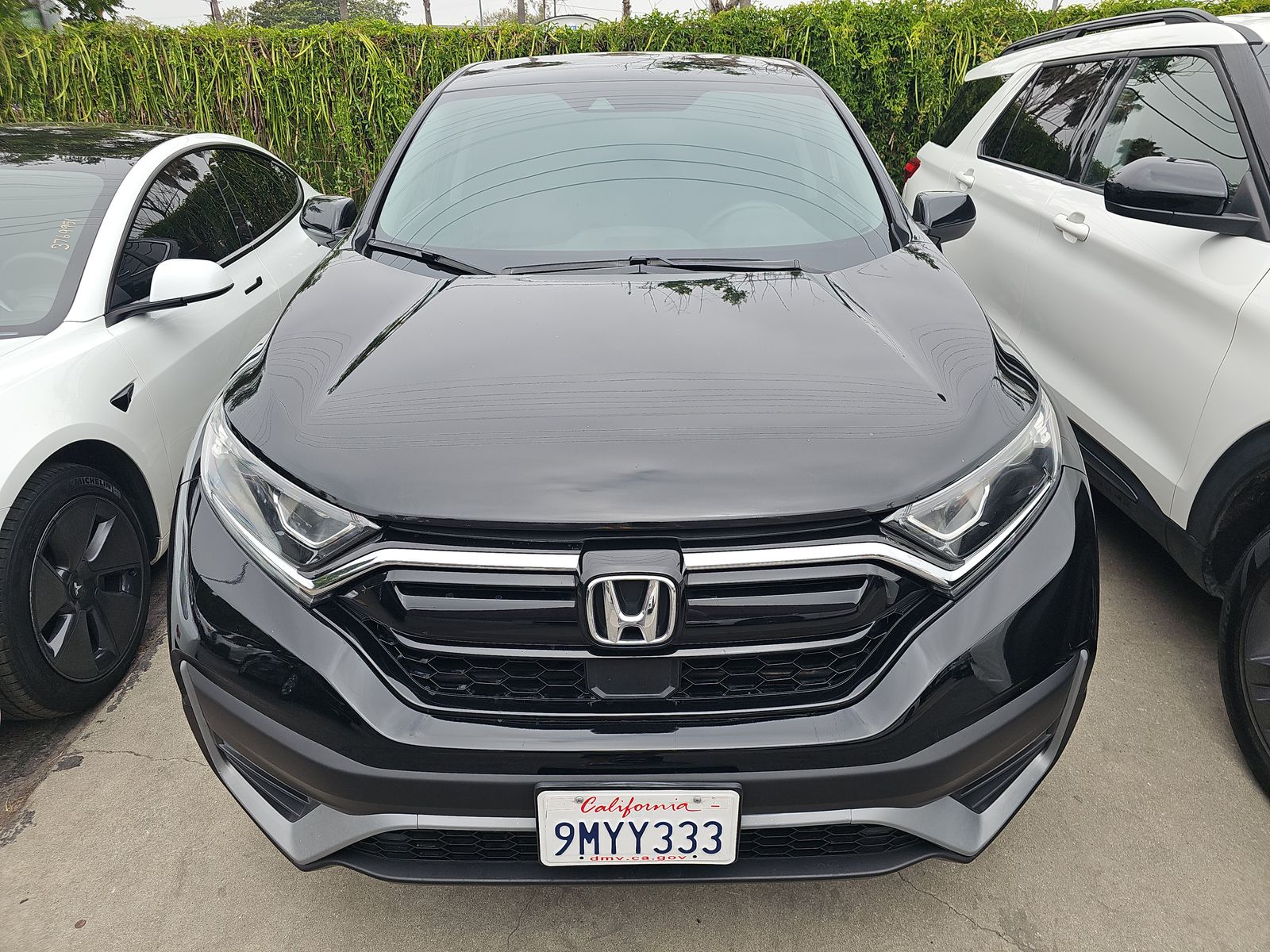 2021 Honda CR-V Special Edition AWD