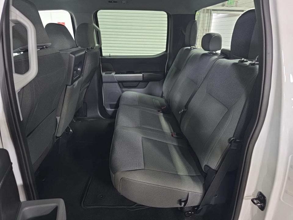 2025 Ford F-150 XLT RWD
