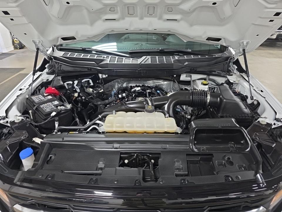 2025 Ford F-150 XLT RWD