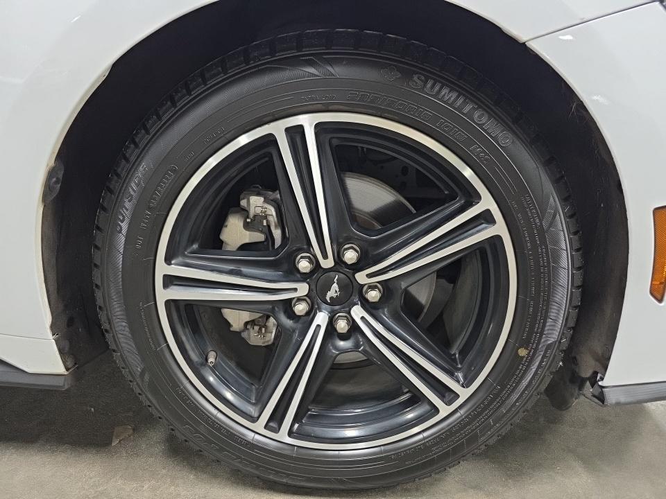 2024 Ford Mustang EcoBoost Premium RWD