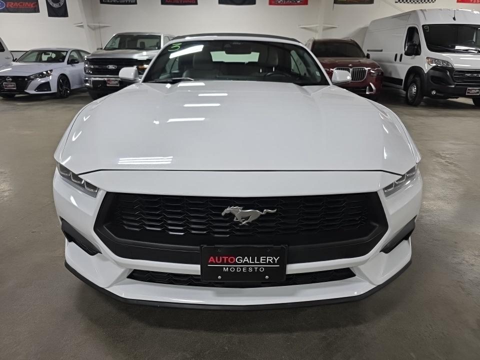 2024 Ford Mustang EcoBoost Premium RWD