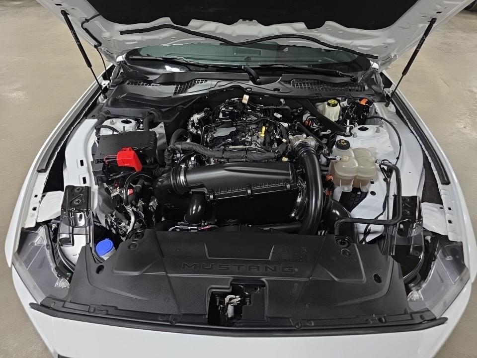 2024 Ford Mustang EcoBoost Premium RWD