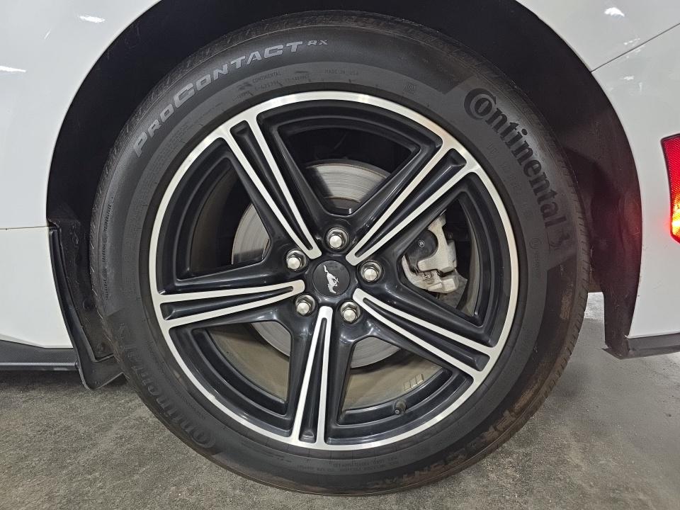 2024 Ford Mustang EcoBoost Premium RWD