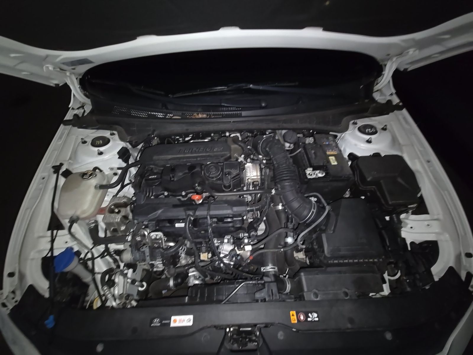 2024 Hyundai Elantra N Line FWD