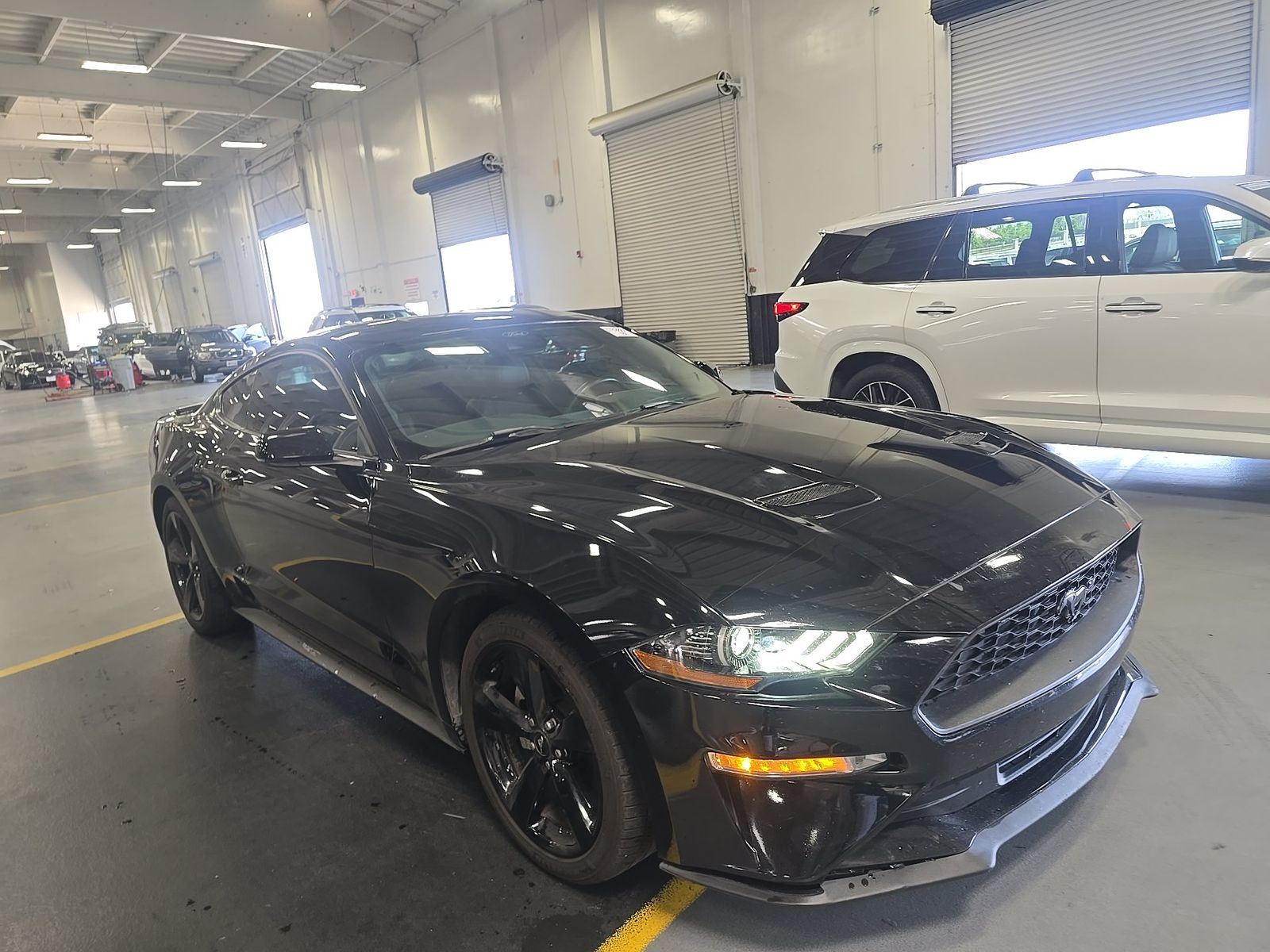FORD MUSTANG - 4