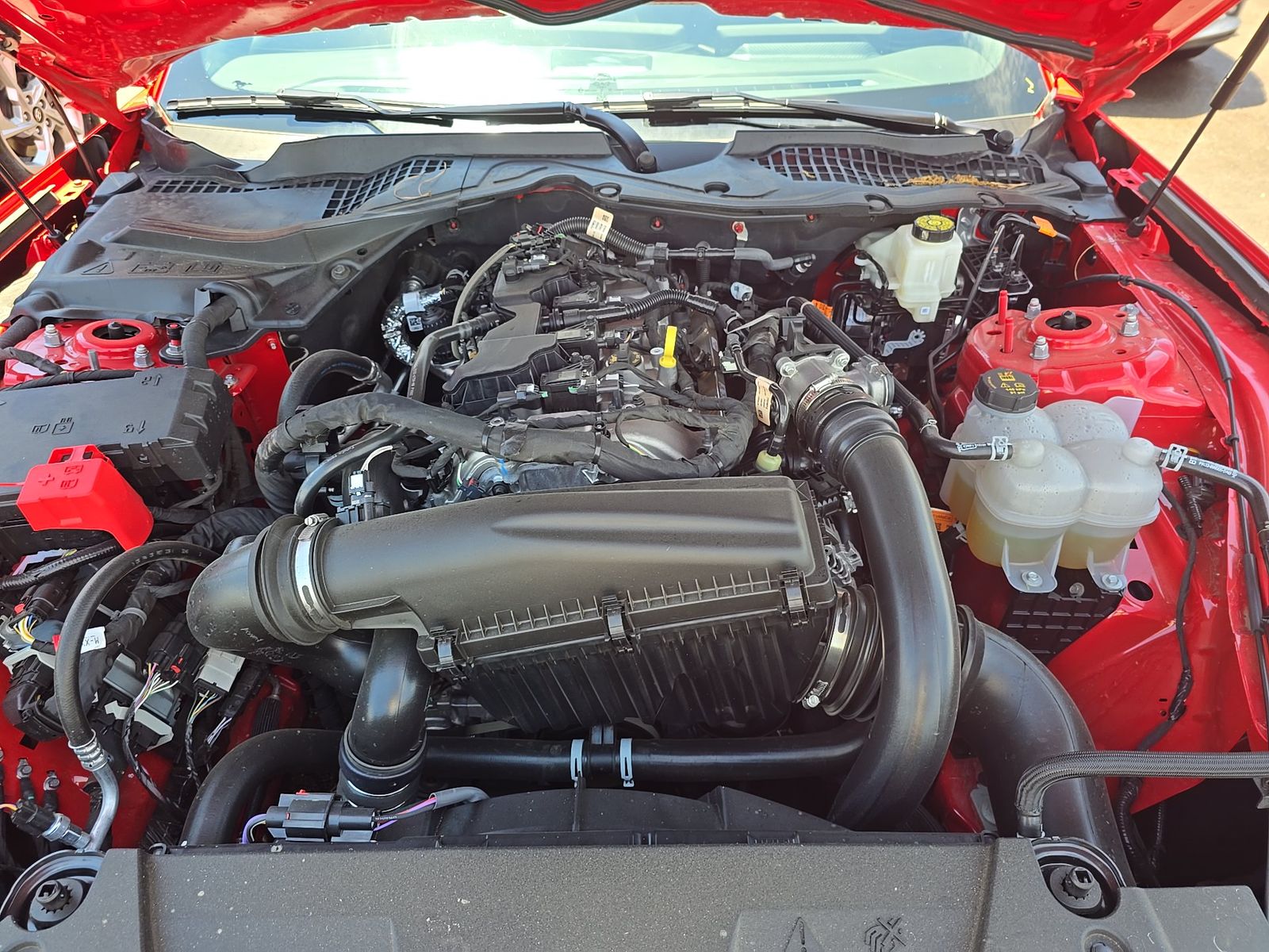 2026 Ford Mustang EcoBoost Premium RWD