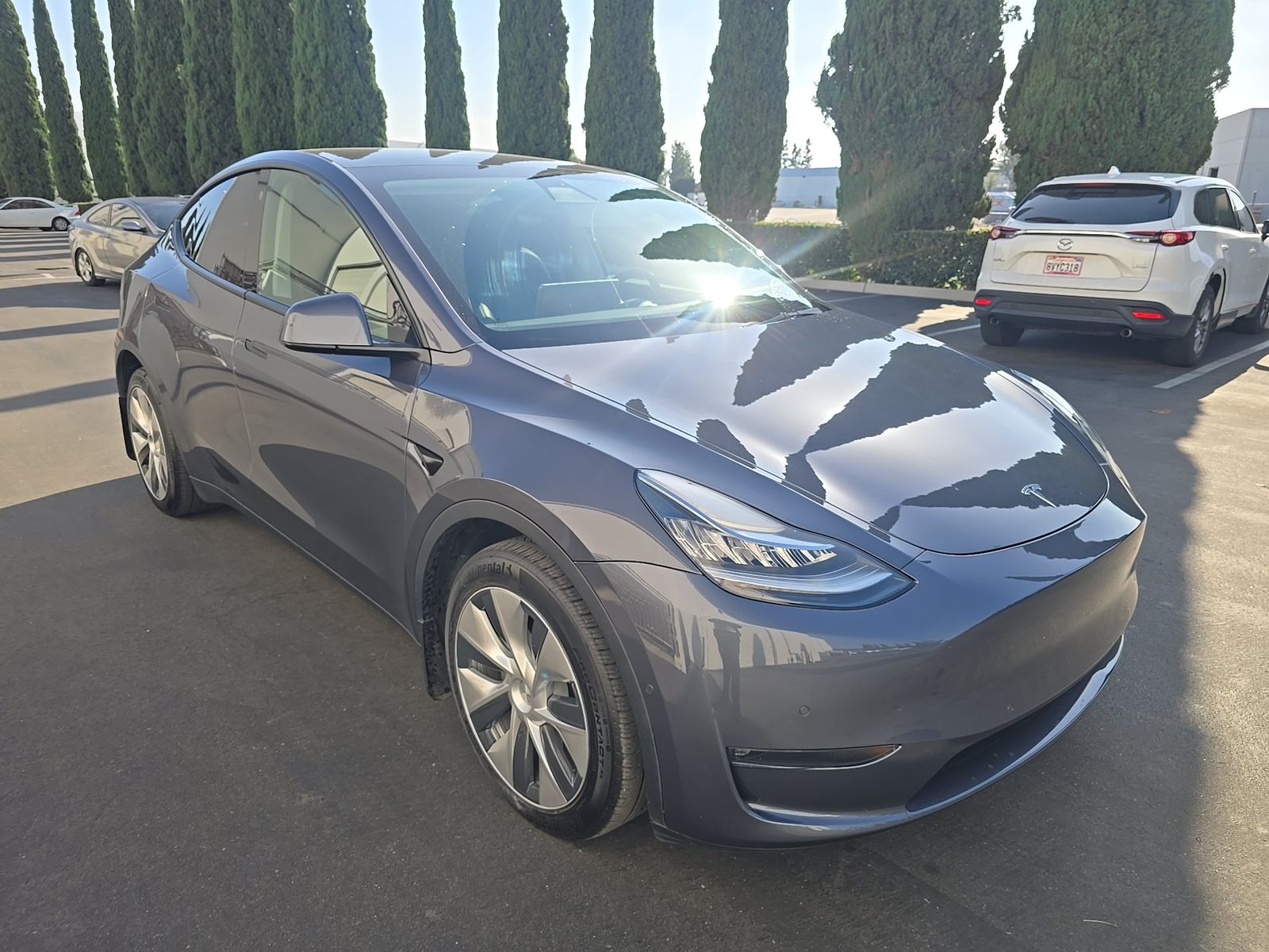 TESLA MODEL Y - 4