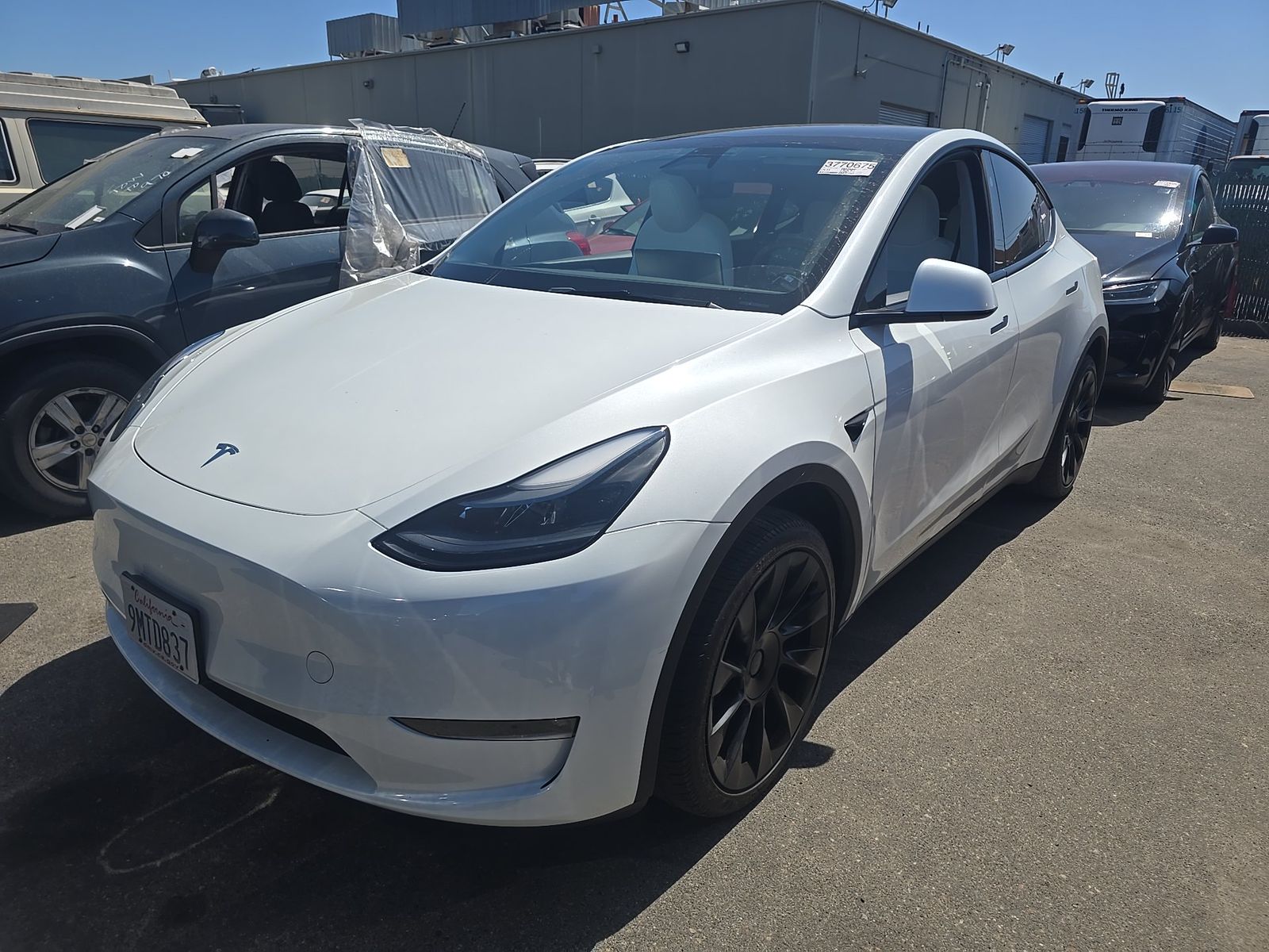 TESLA MODEL Y - 1