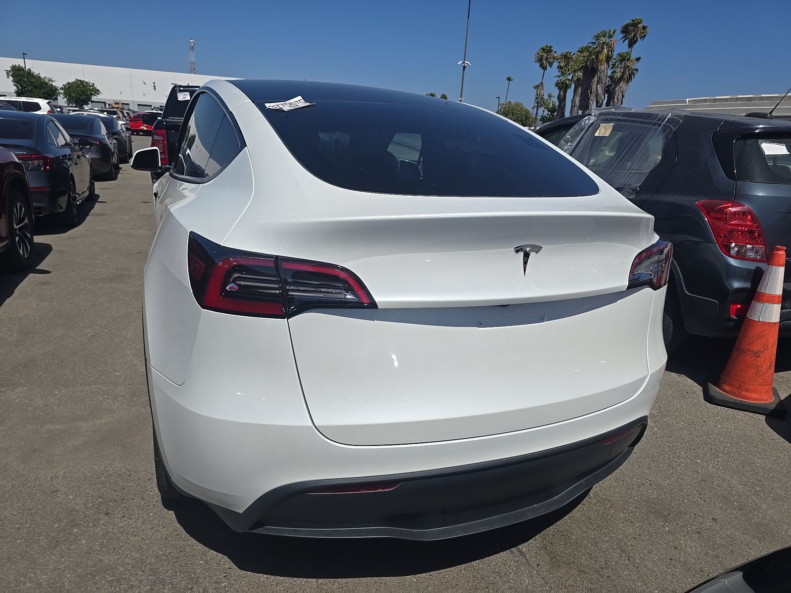 TESLA MODEL Y - 6