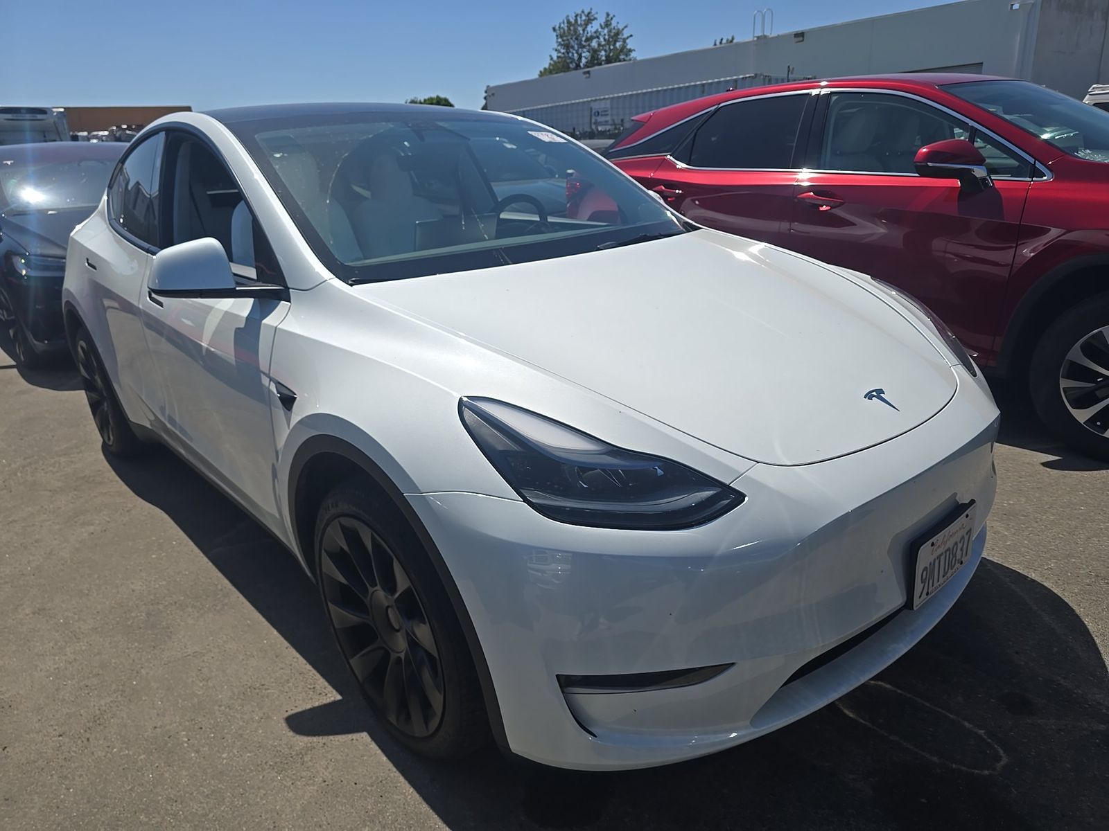 TESLA MODEL Y - 4