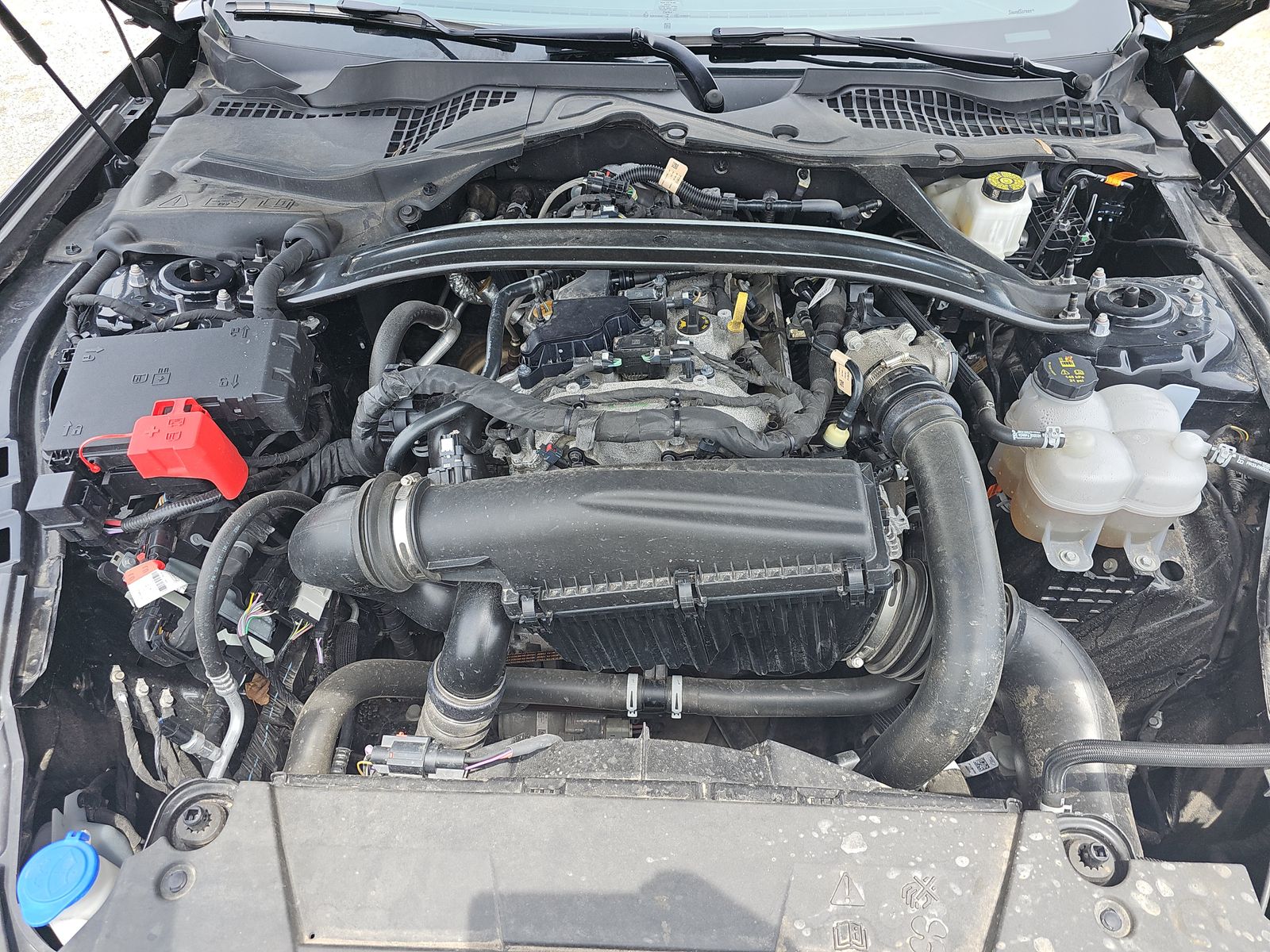 2025 Ford Mustang EcoBoost Premium RWD