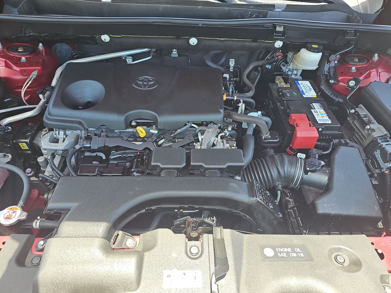 2019 Toyota RAV4 XLE FWD