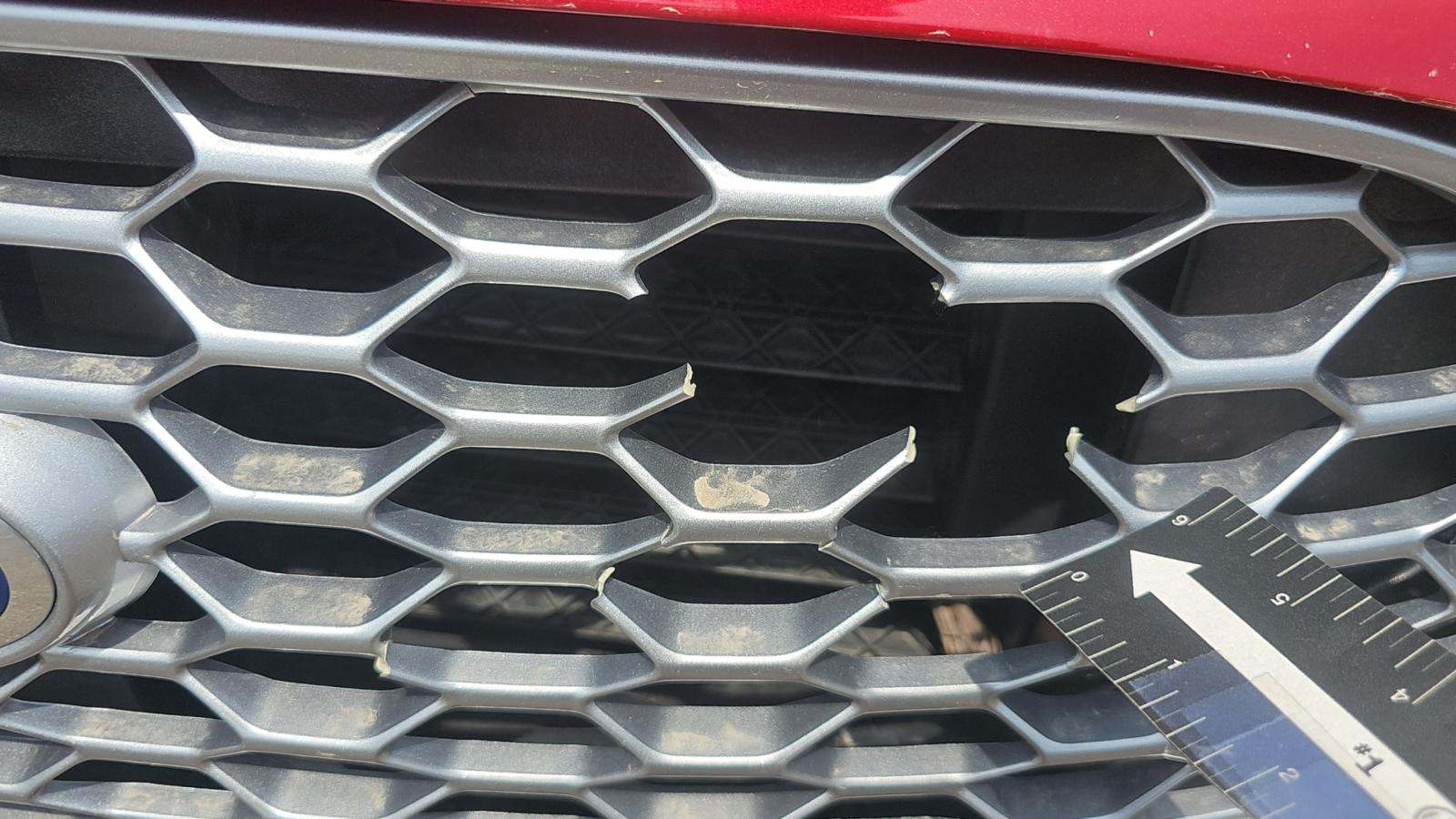 F Bumper Center Grille-Screen