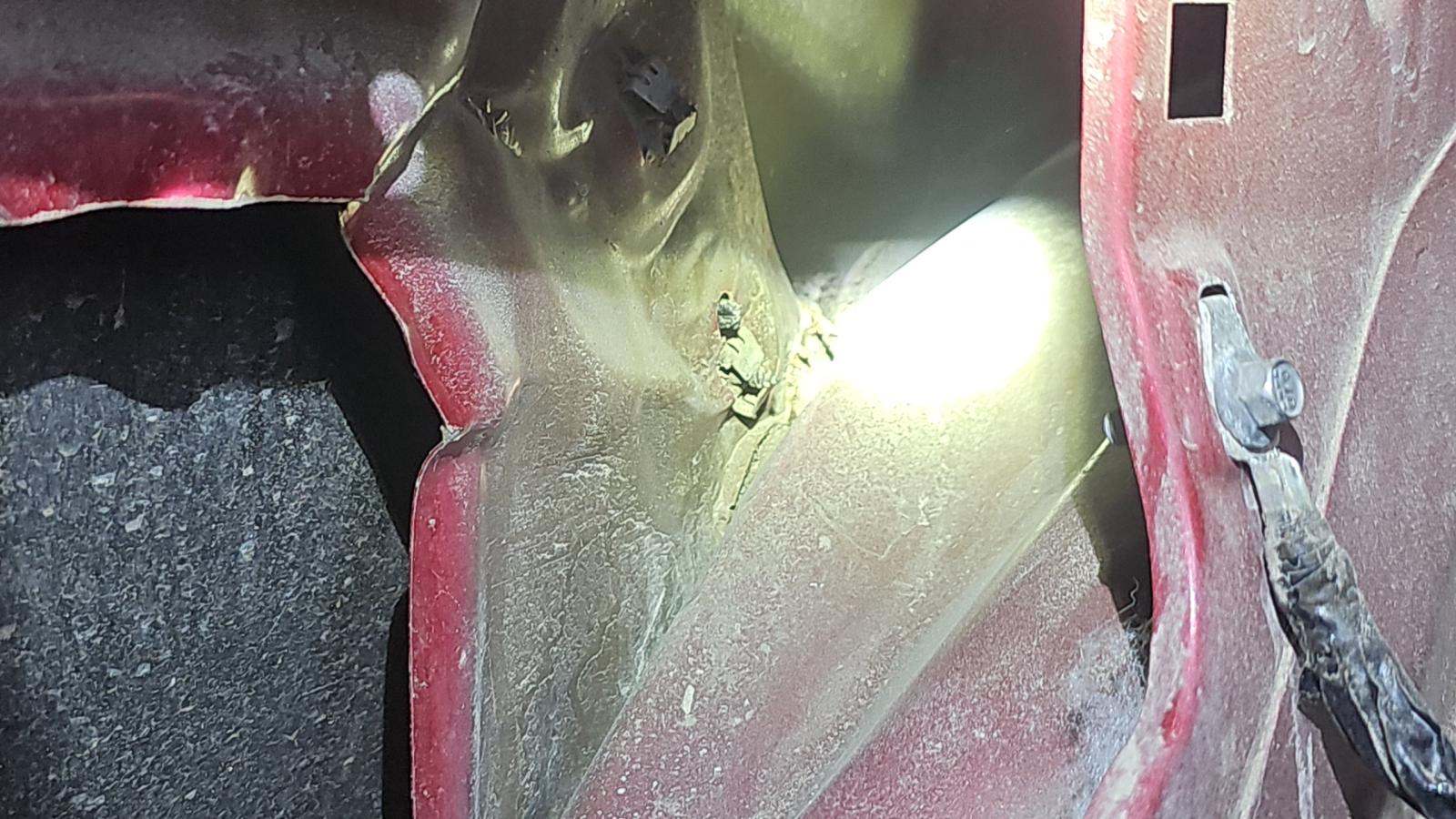 LR Wheel Housing