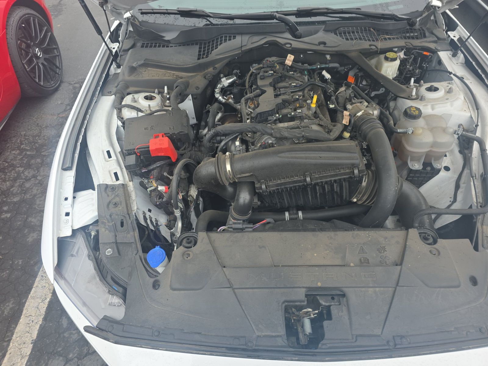 2024 Ford Mustang EcoBoost Premium RWD