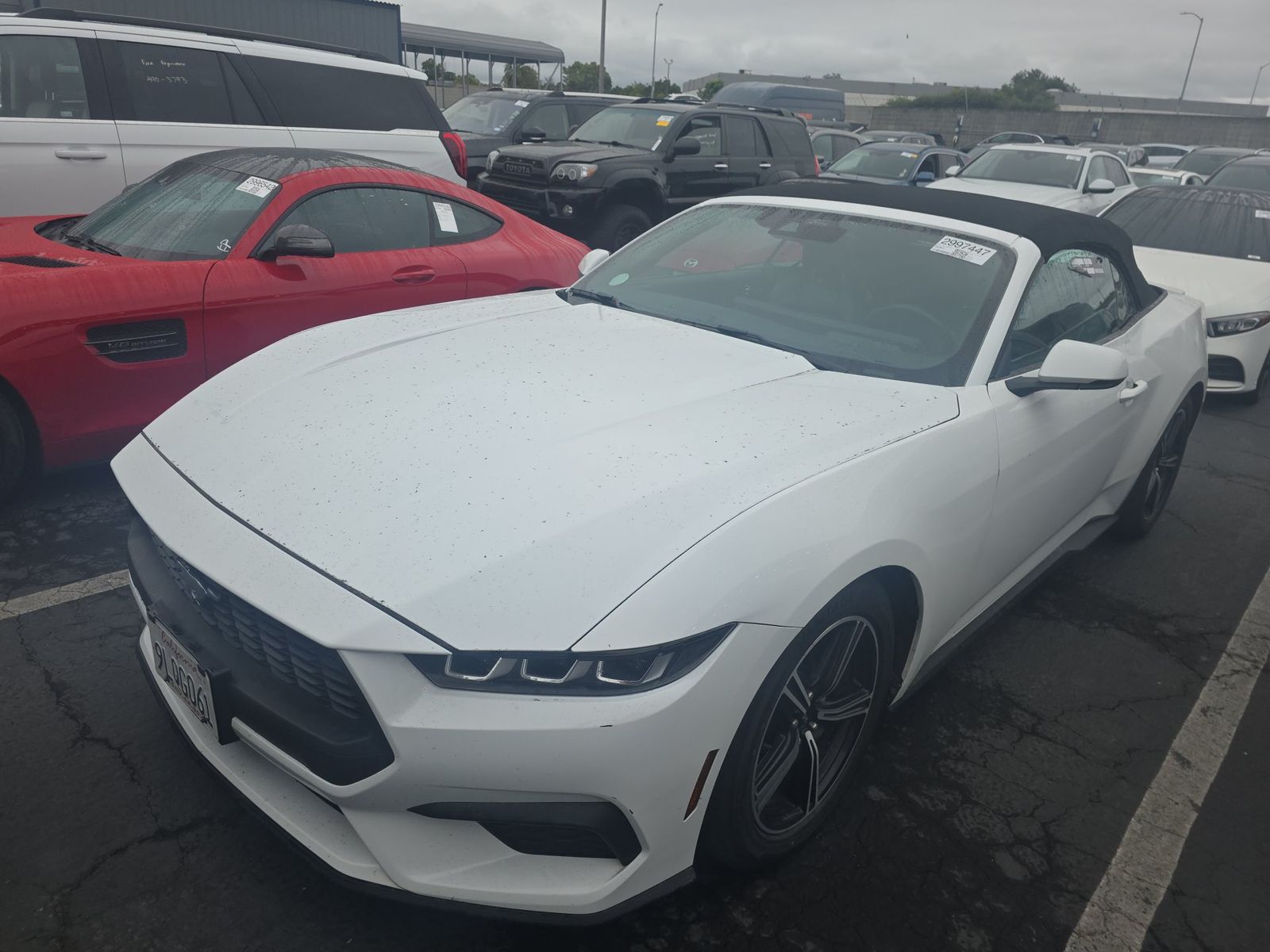 2024 Ford Mustang EcoBoost Premium RWD