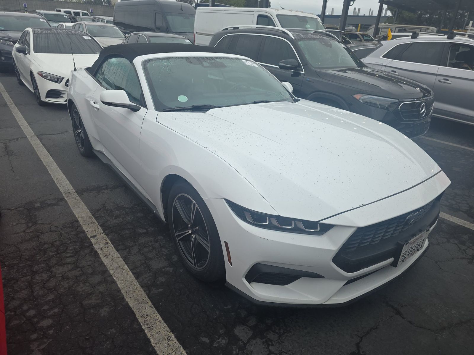 2024 Ford Mustang EcoBoost Premium RWD