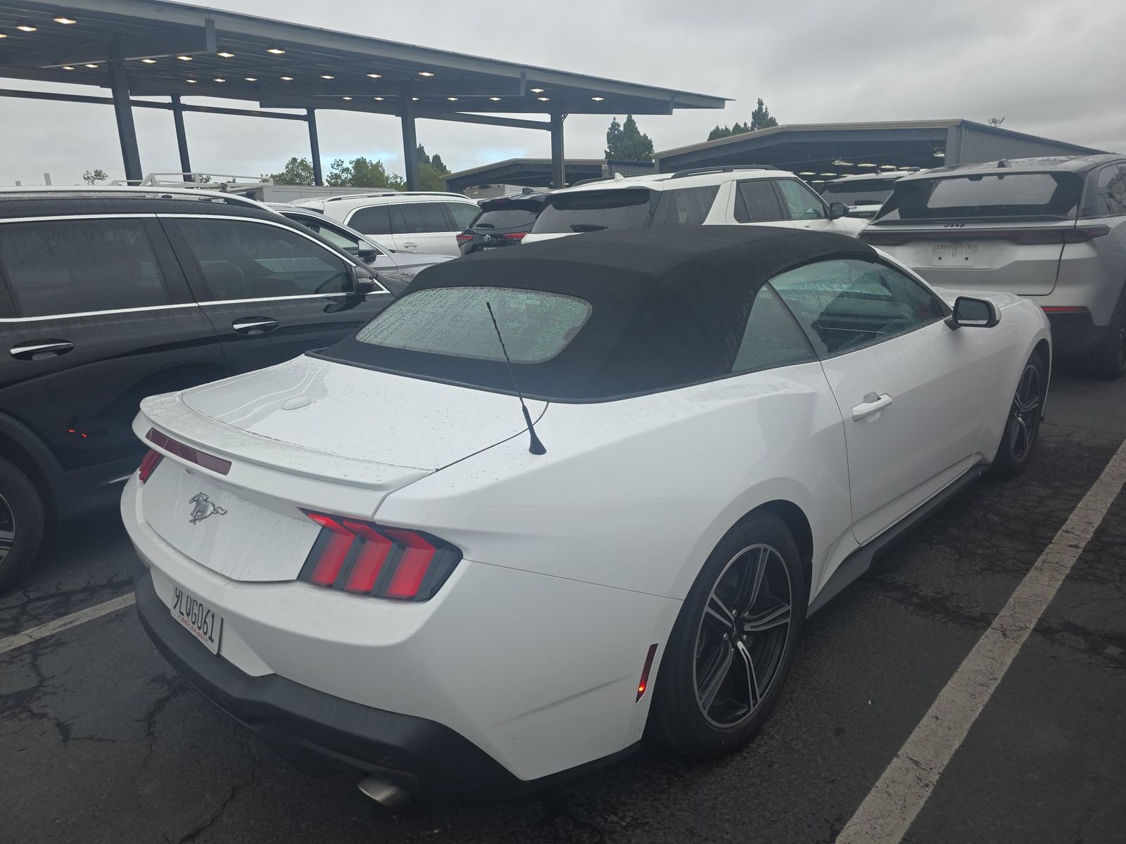 2024 Ford Mustang EcoBoost Premium RWD