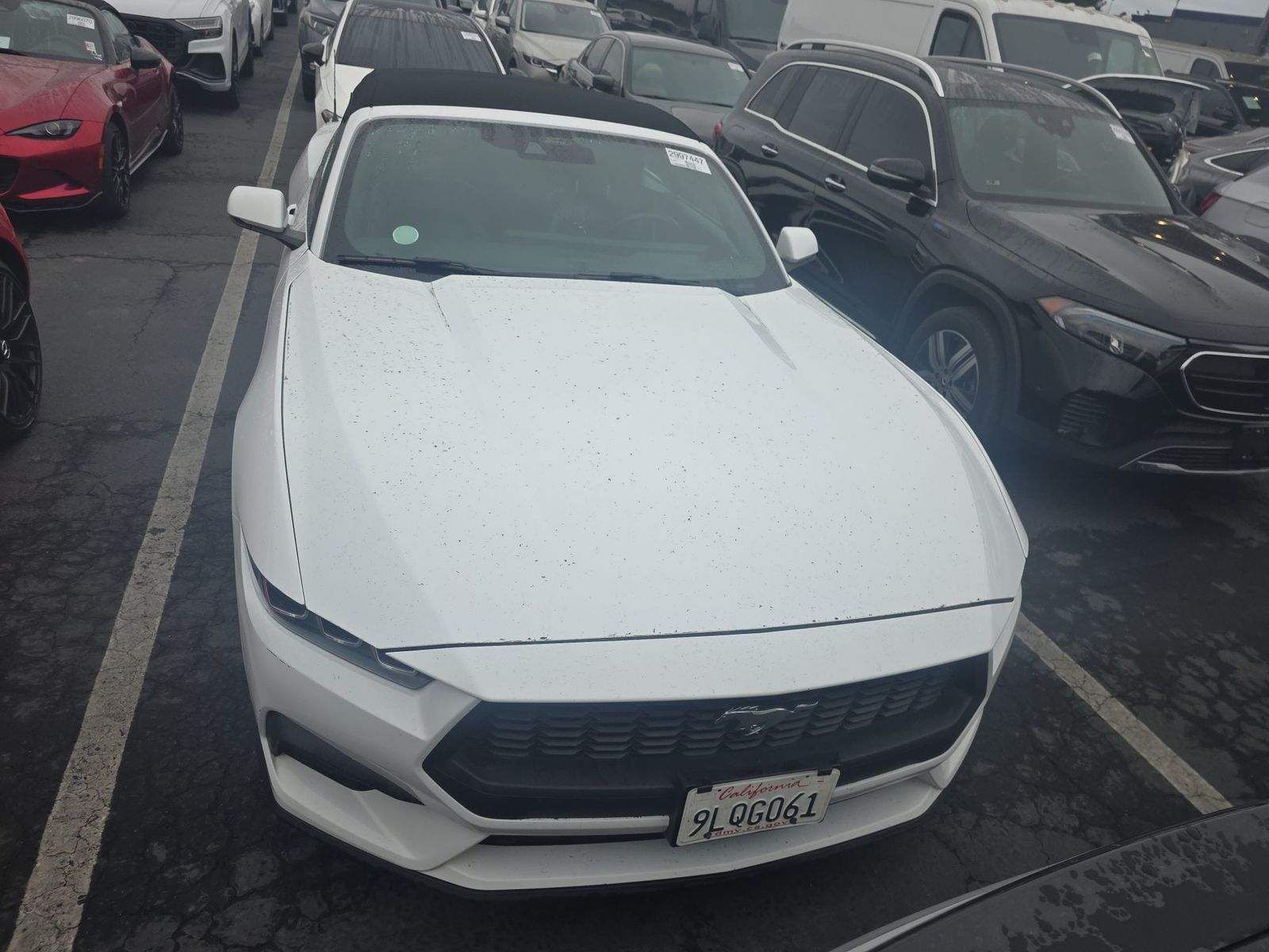 2024 Ford Mustang EcoBoost Premium RWD