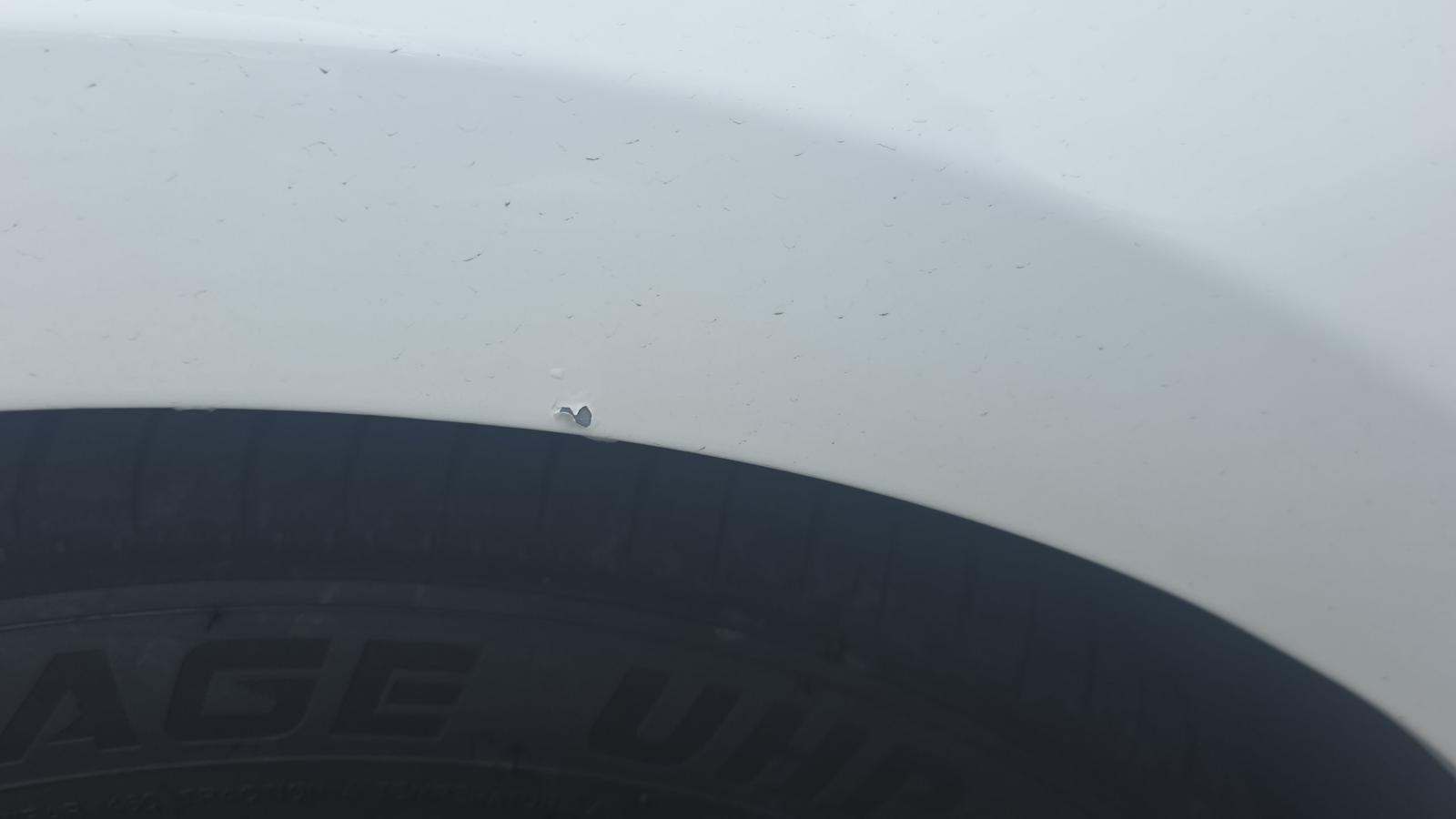 2024 Ford Mustang EcoBoost Premium RWD