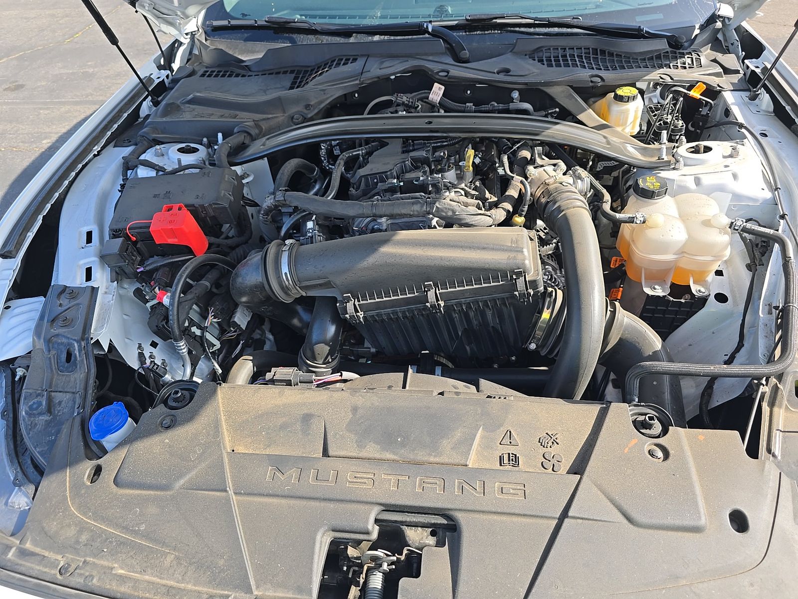 2025 Ford Mustang EcoBoost Premium RWD